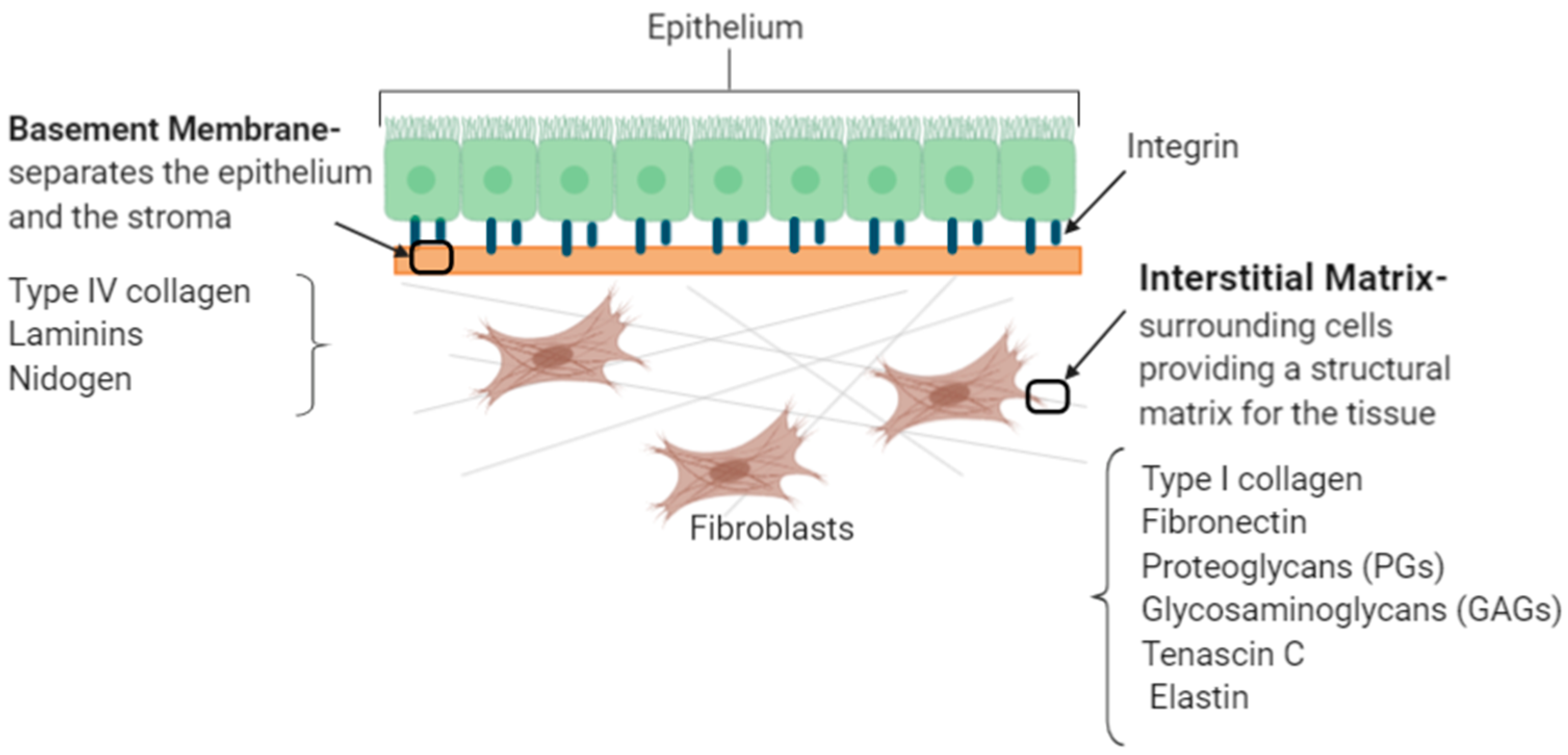 Applsci 10 04001 g002