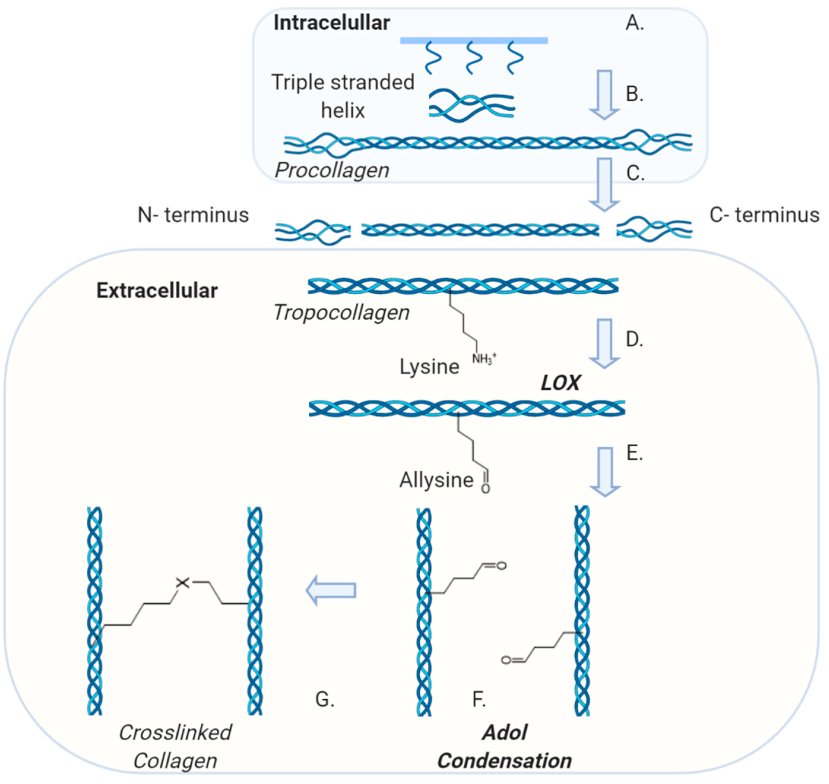 Applsci 10 04001 g003