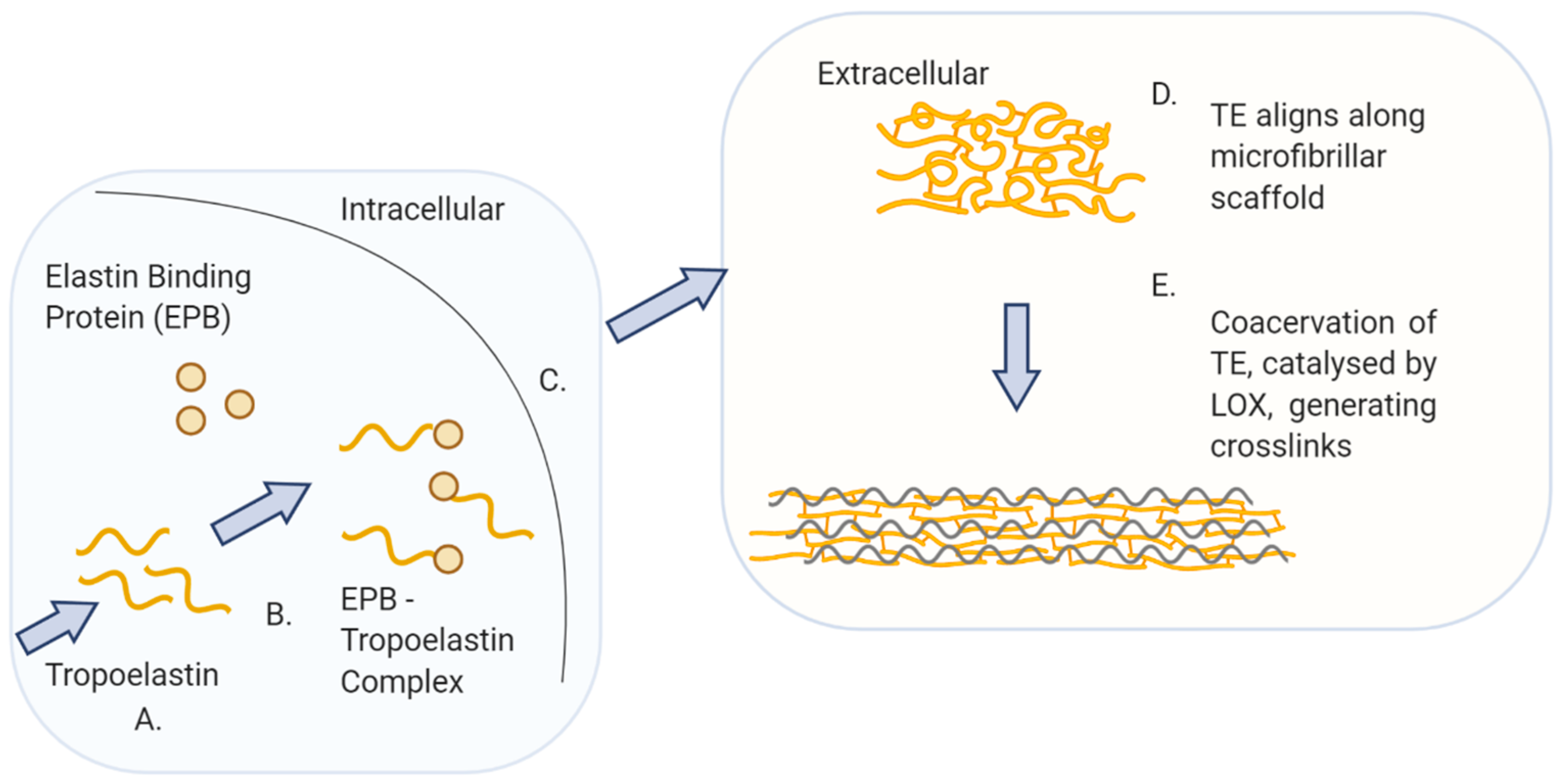 Applsci 10 04001 g004