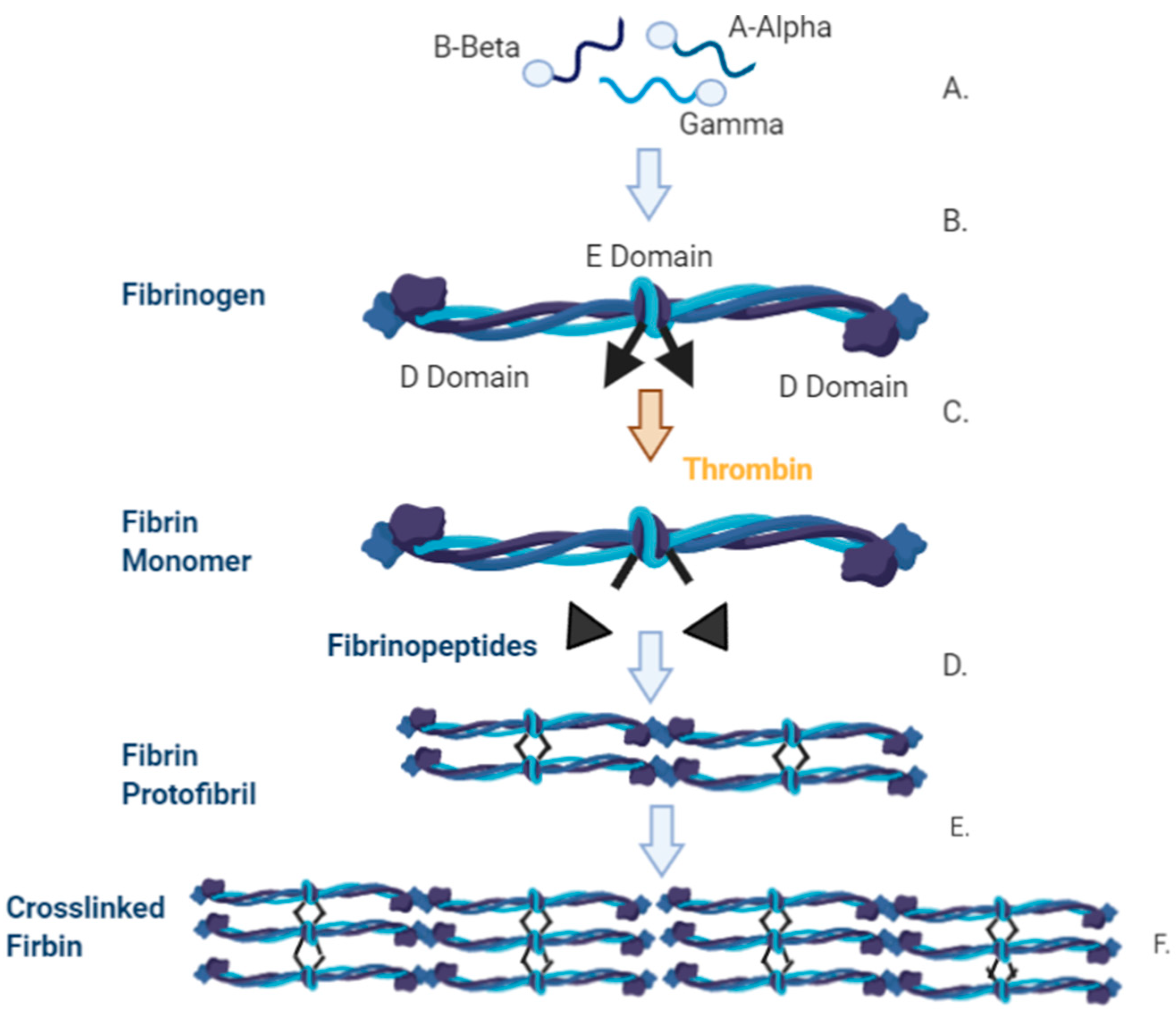 Applsci 10 04001 g005