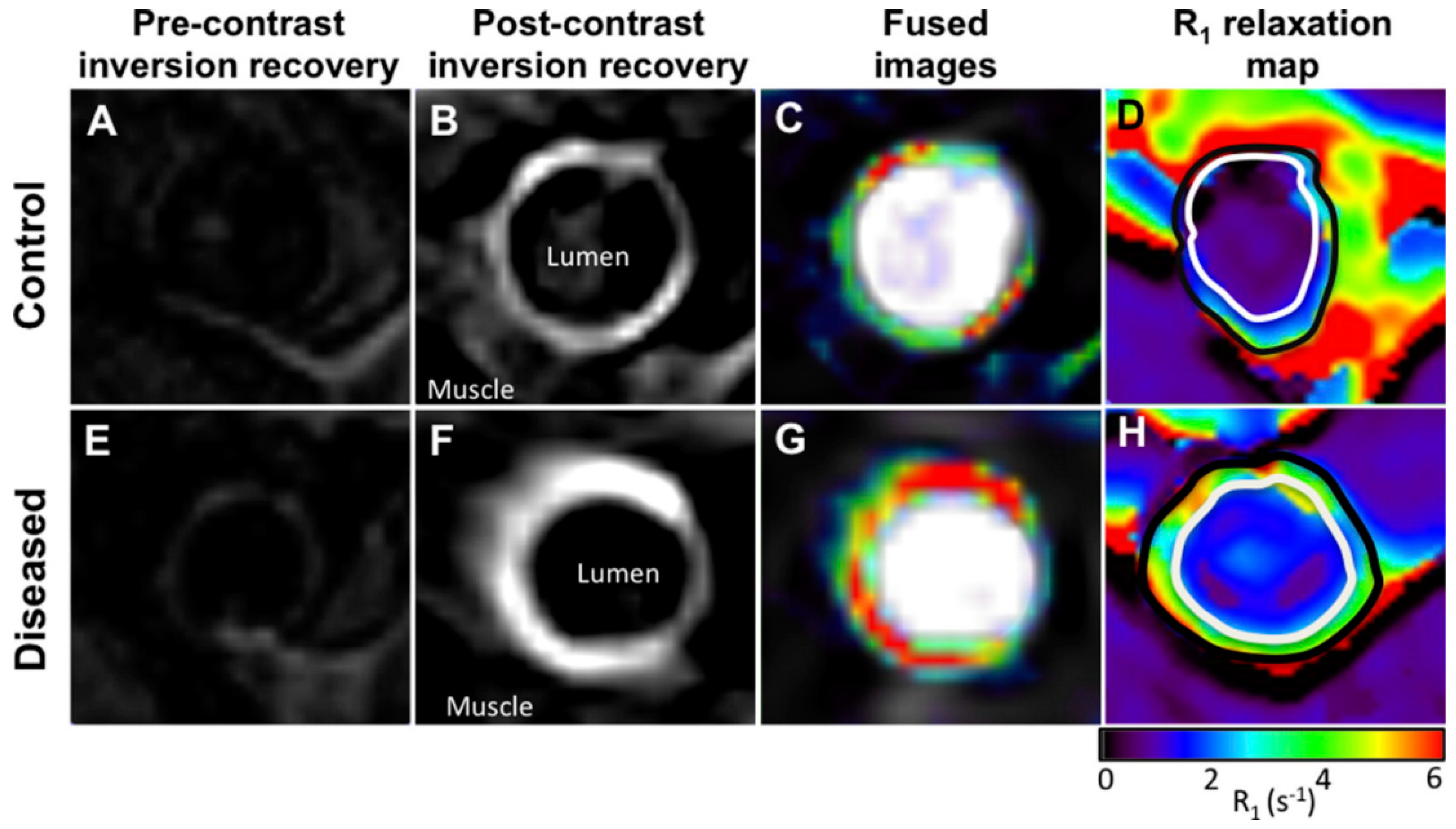 Applsci 10 04001 g007