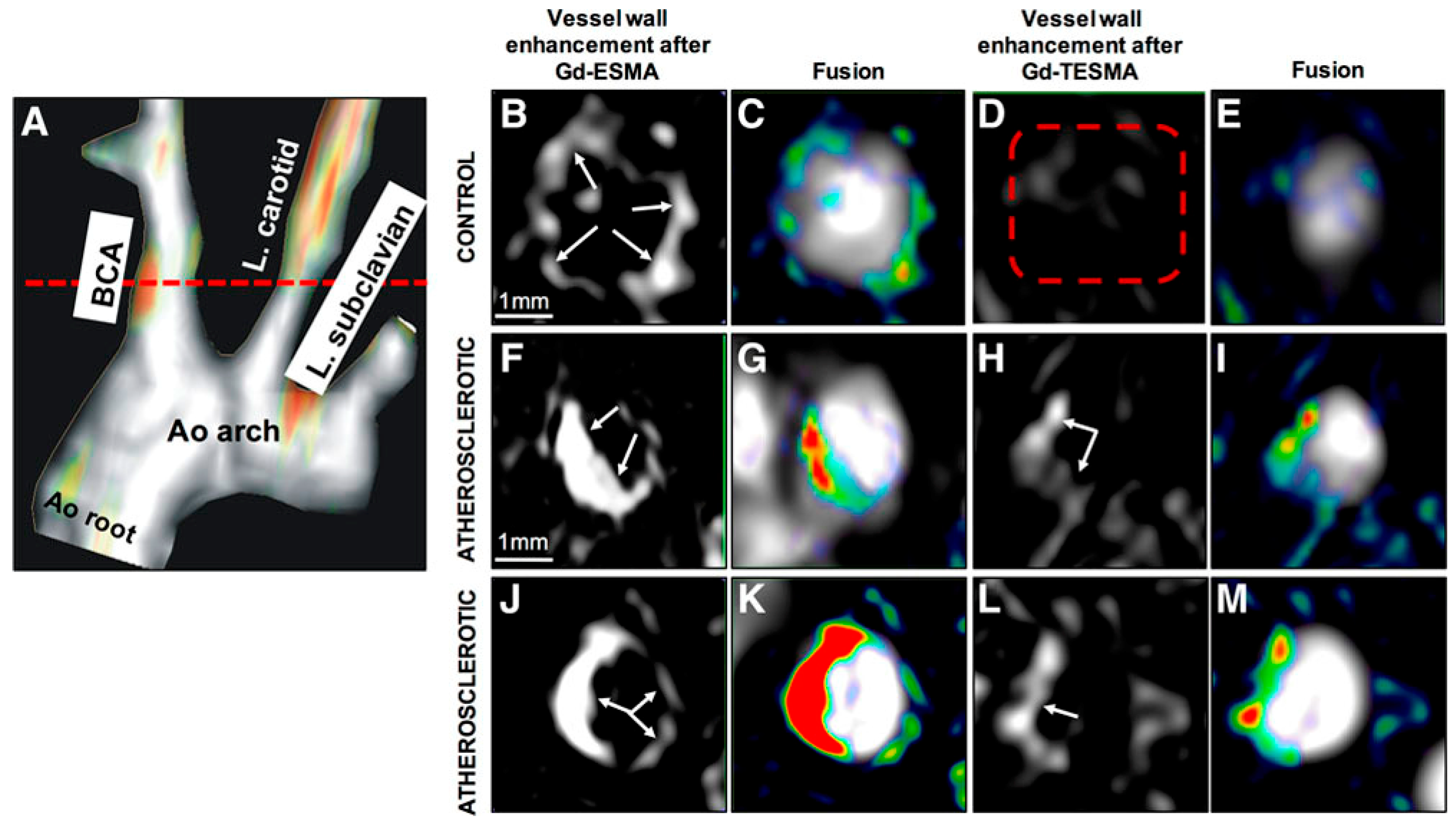 Applsci 10 04001 g008