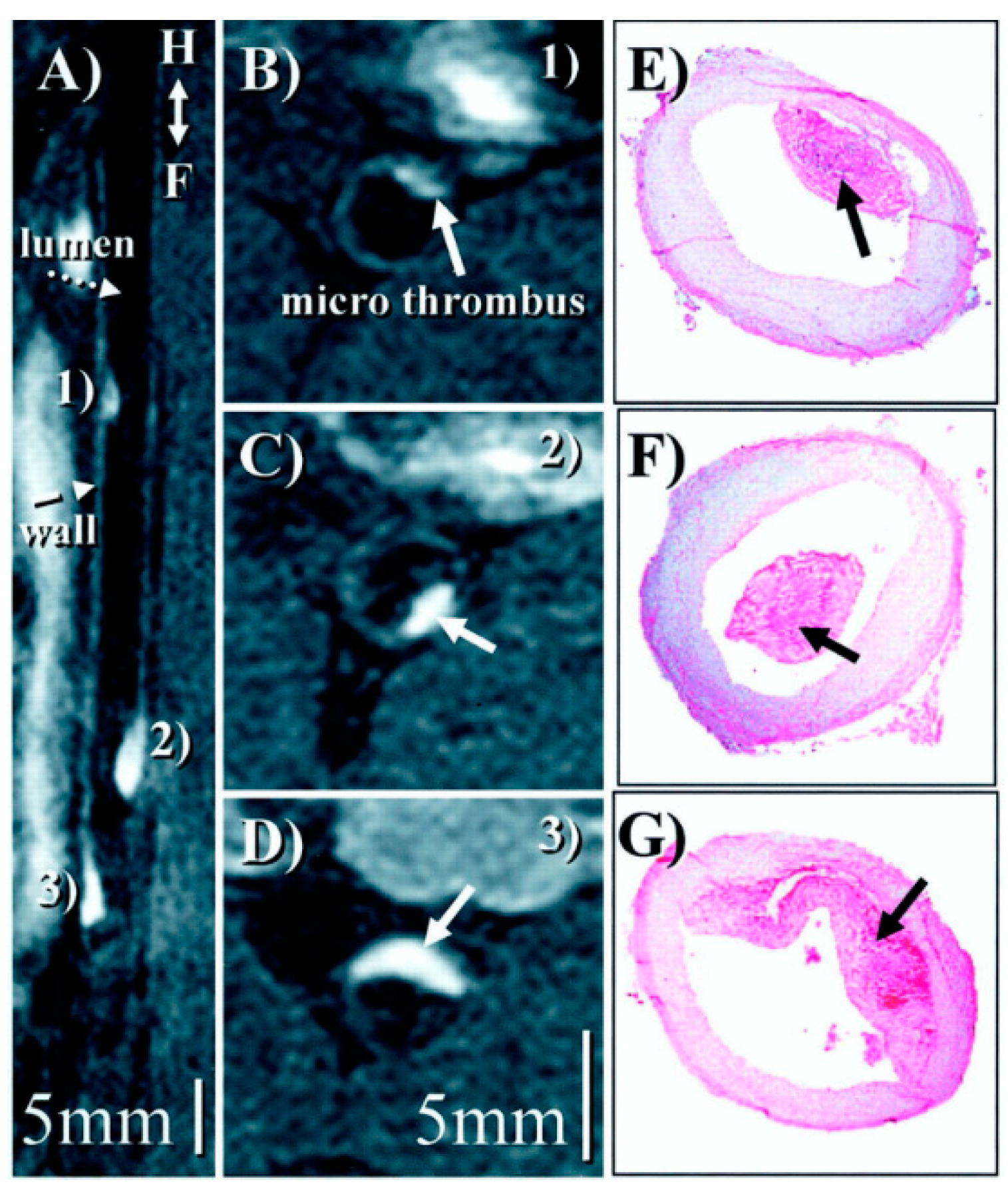 Applsci 10 04001 g010