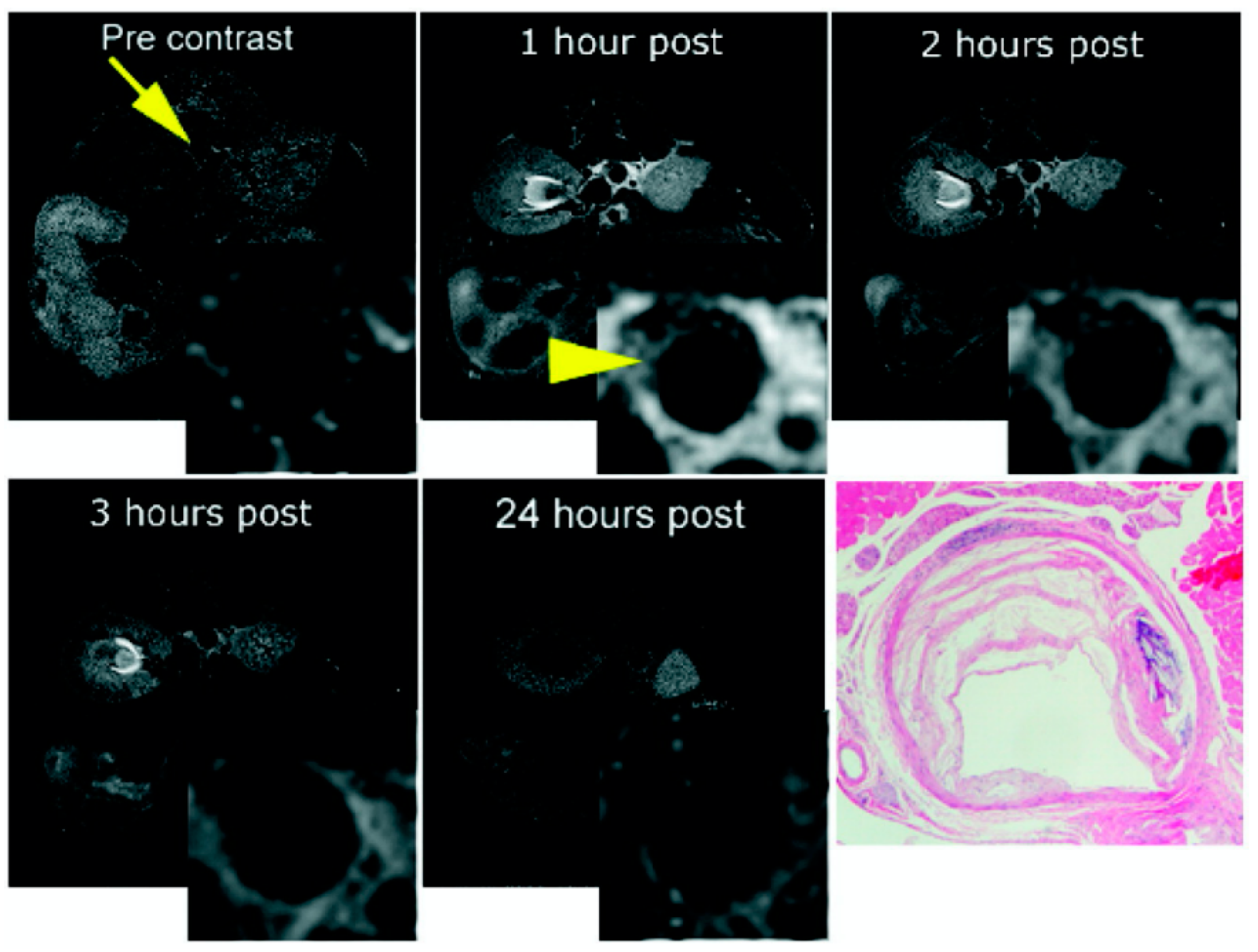 Applsci 10 04001 g013