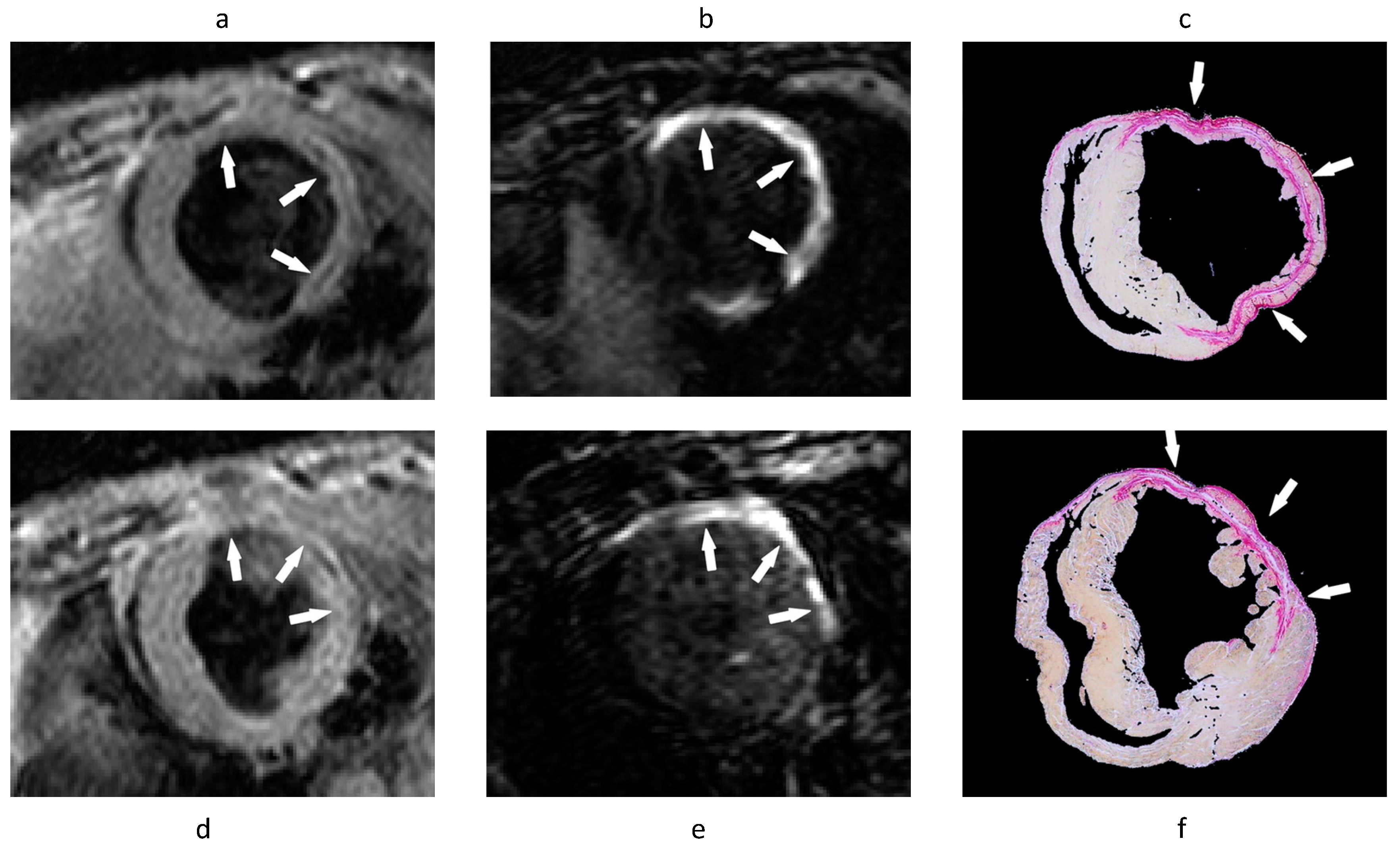 Applsci 10 04001 g015