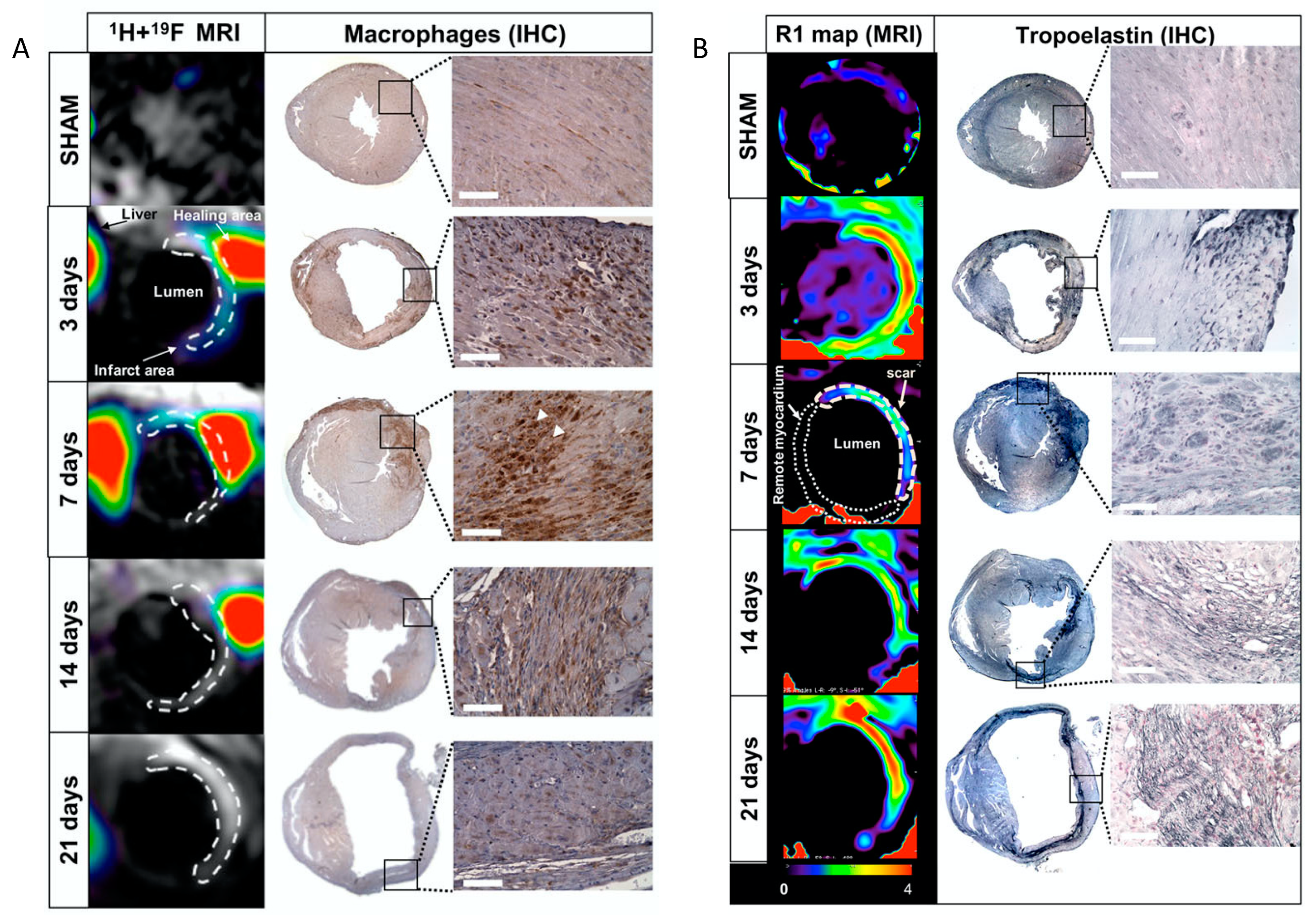 Applsci 10 04001 g017
