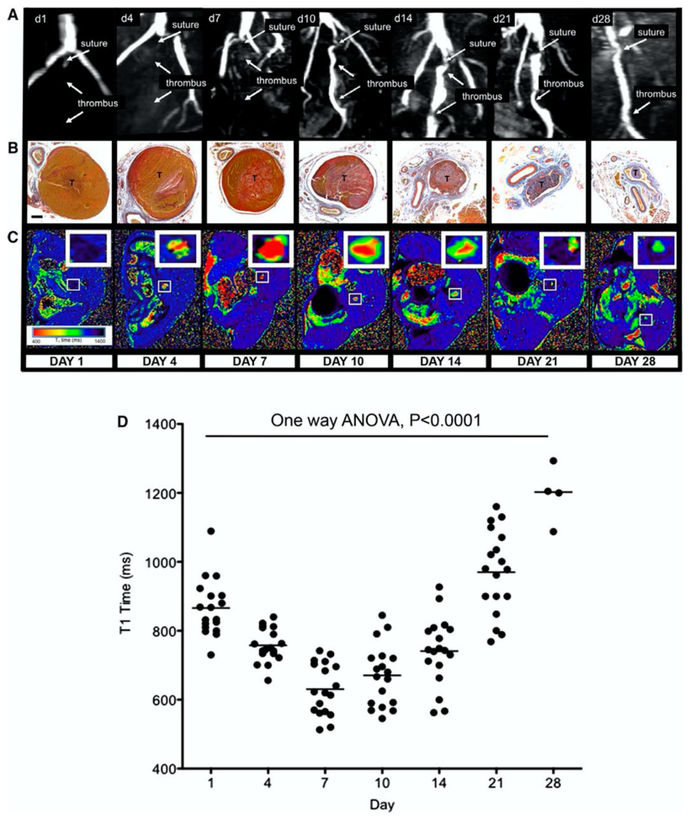 Applsci 10 04001 g018