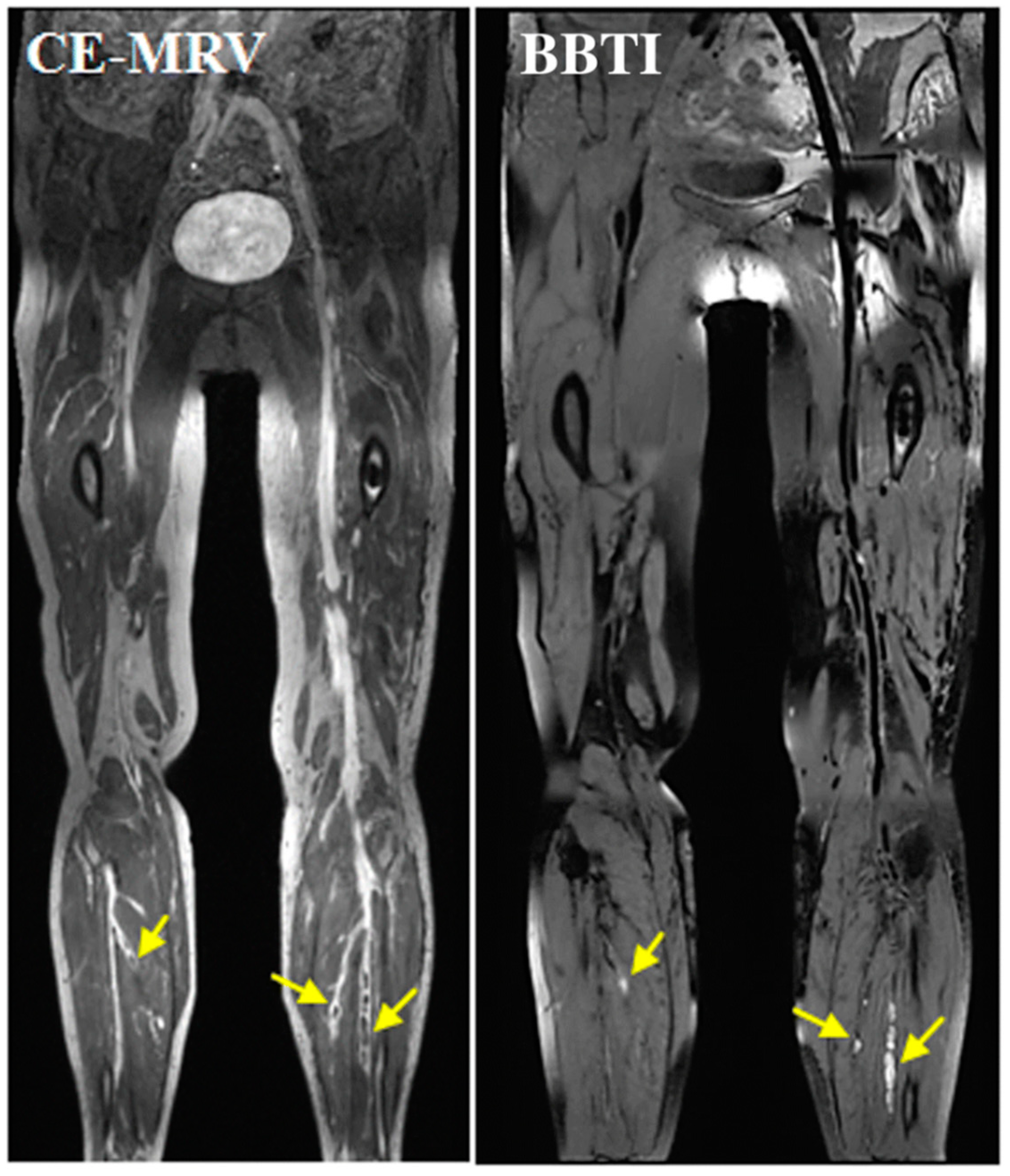 Applsci 10 04001 g021