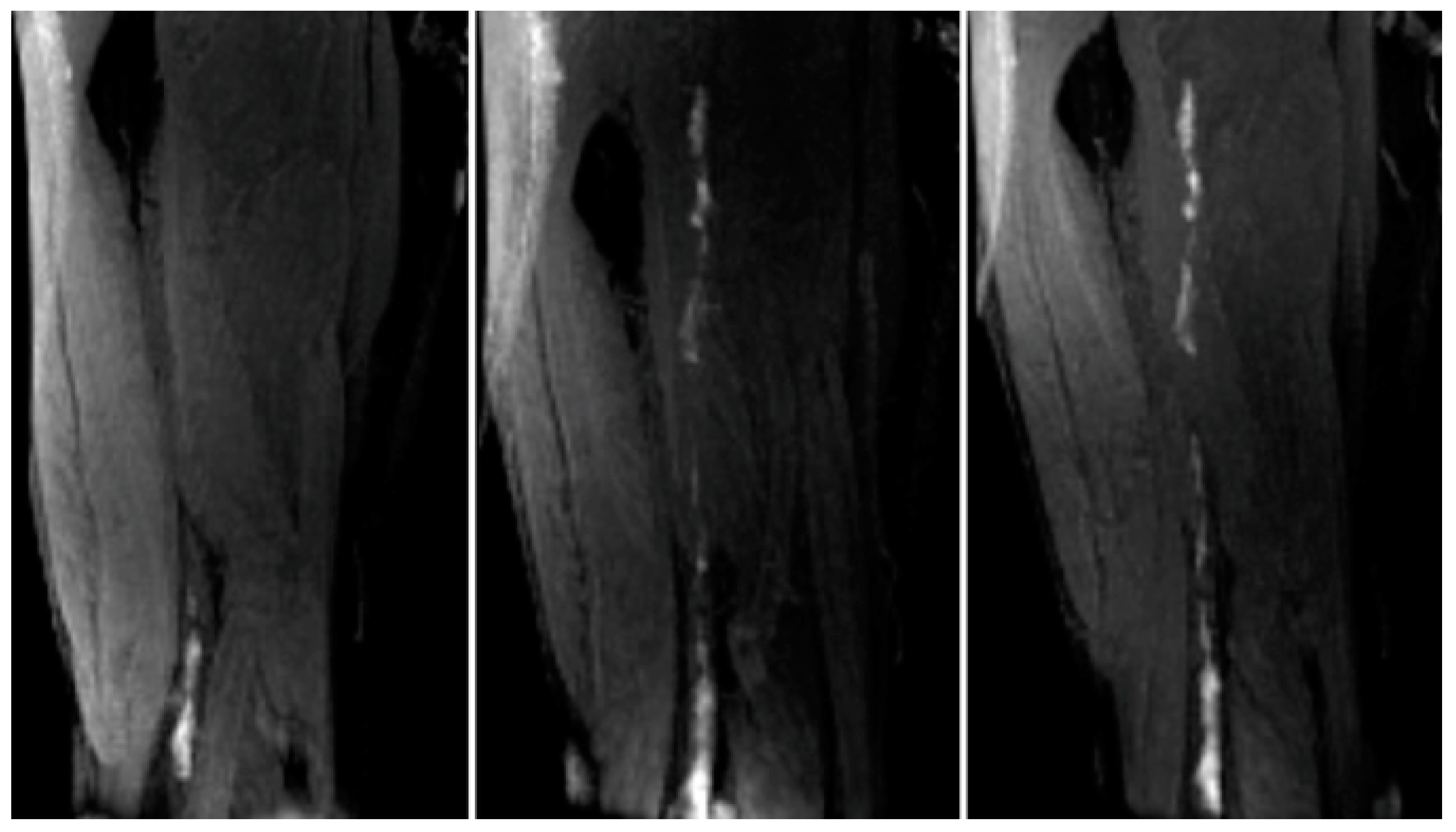 Applsci 10 04001 g023