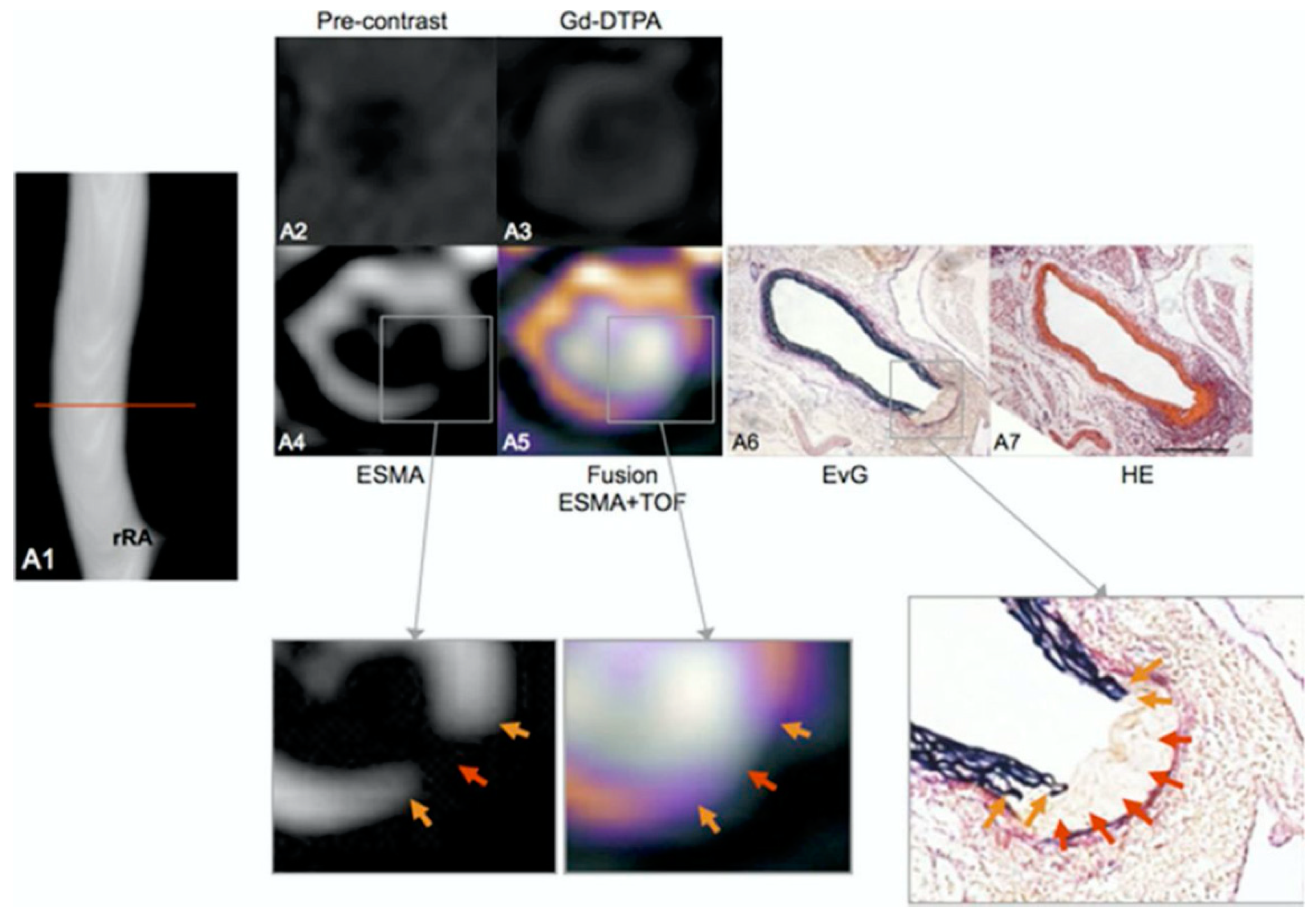 Applsci 10 04001 g024