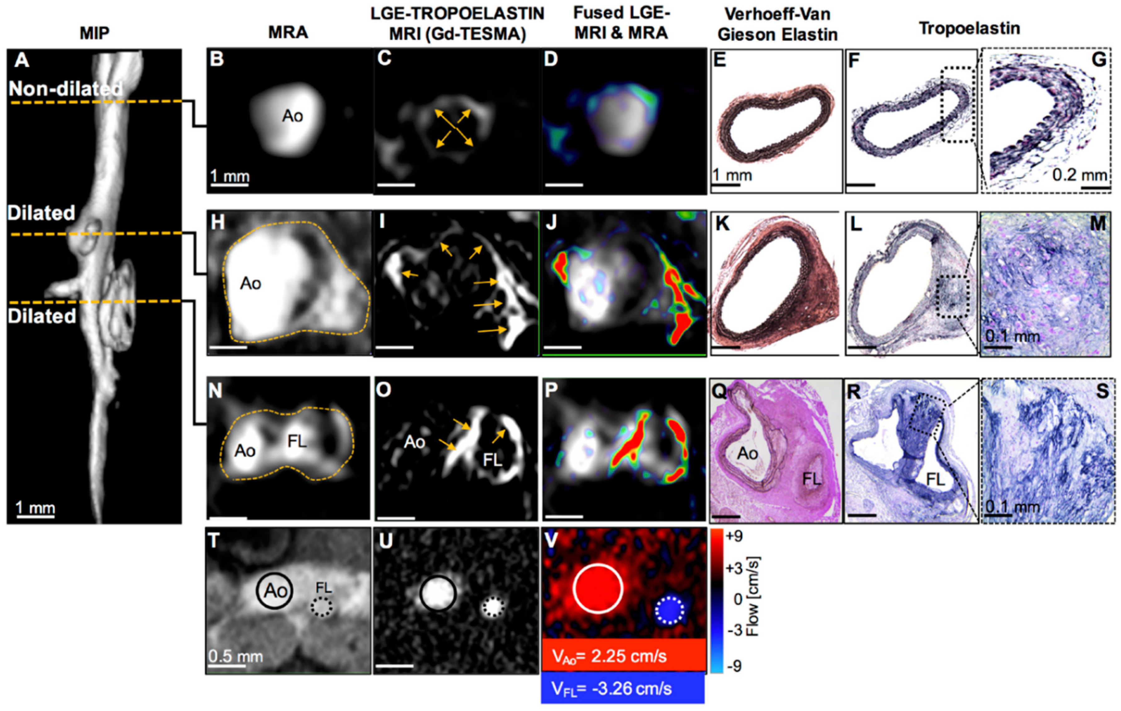 Applsci 10 04001 g025