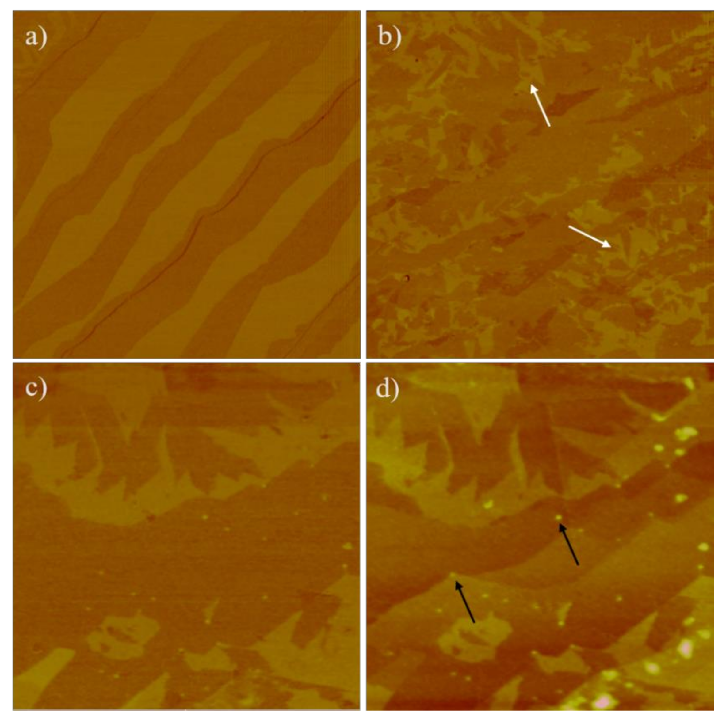 Applsci 10 04013 g001 Applsci 10 04013 g001