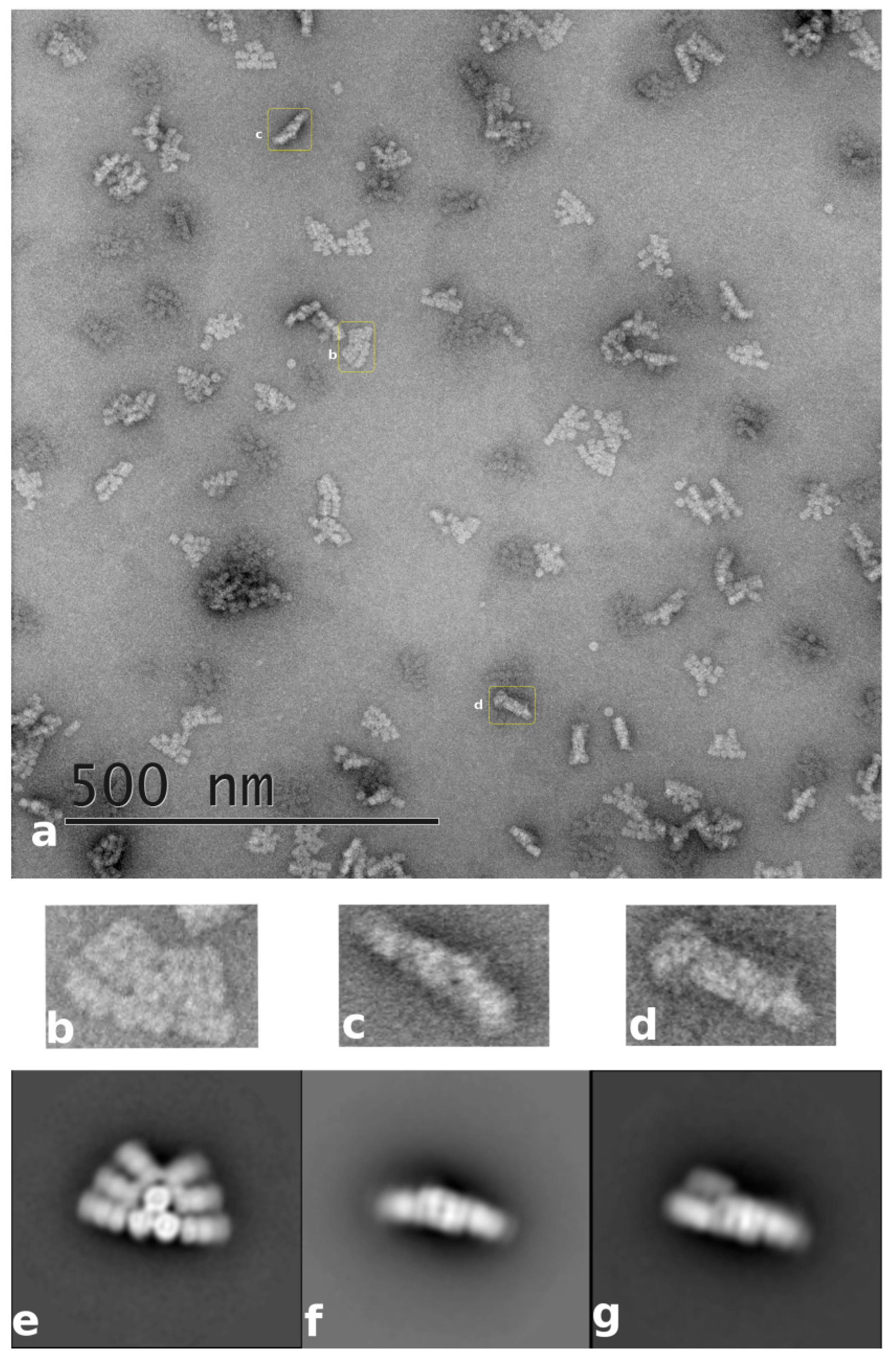 Applsci 10 04045 g001