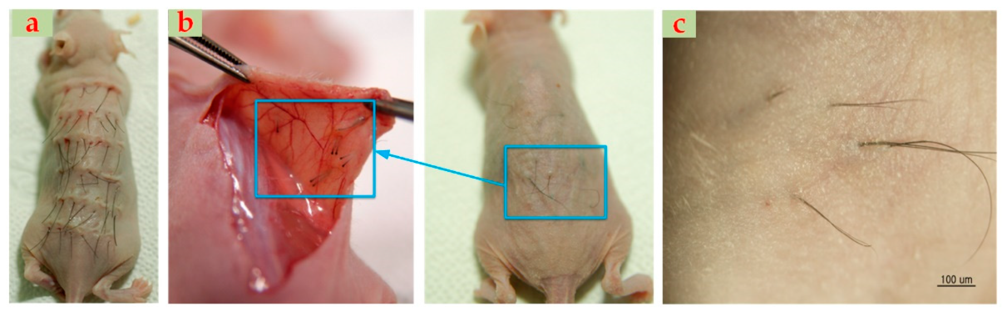 Applsci 10 04046 g013 Applsci 10 04046 g013