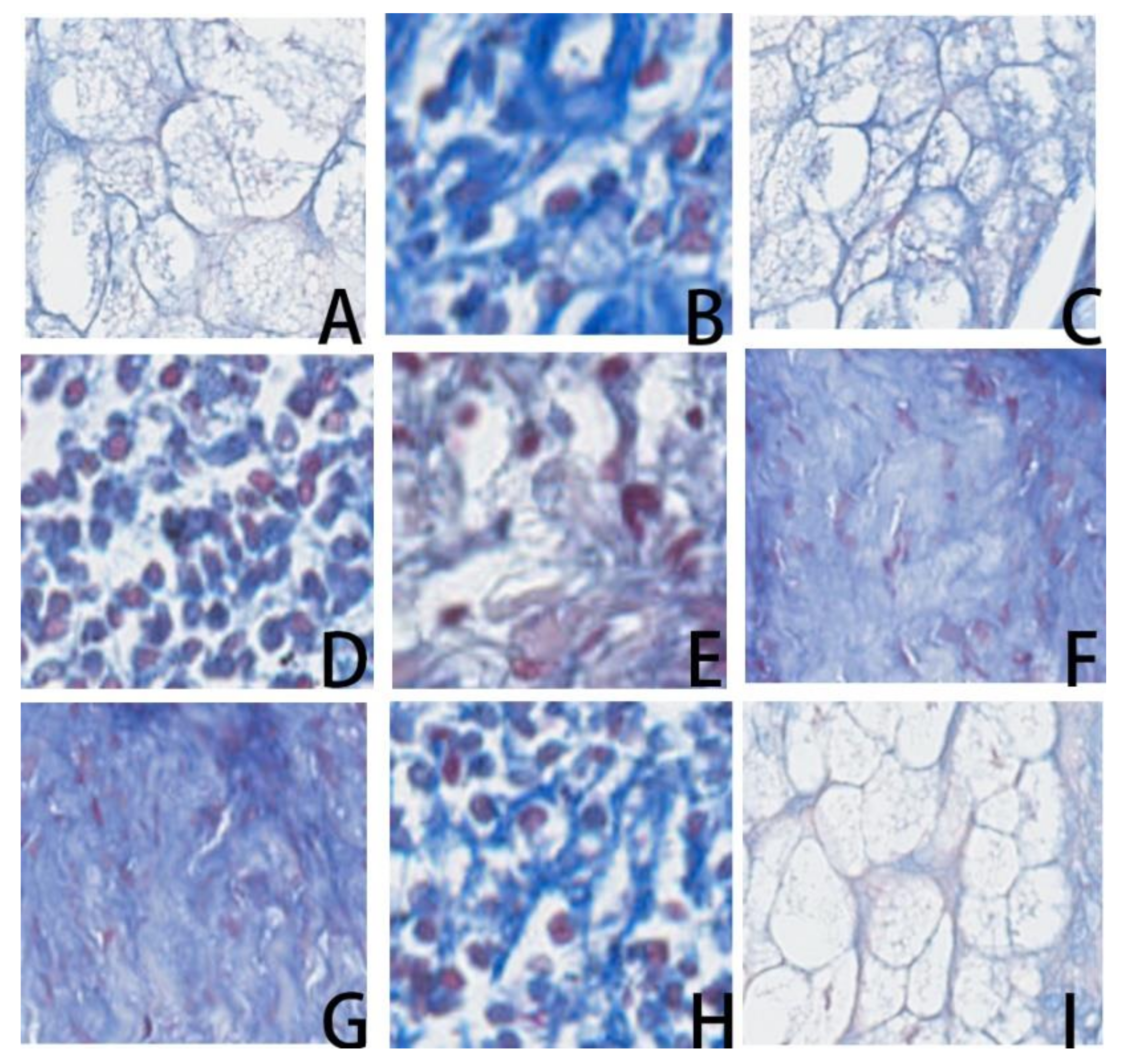 Applsci 10 04059 g003