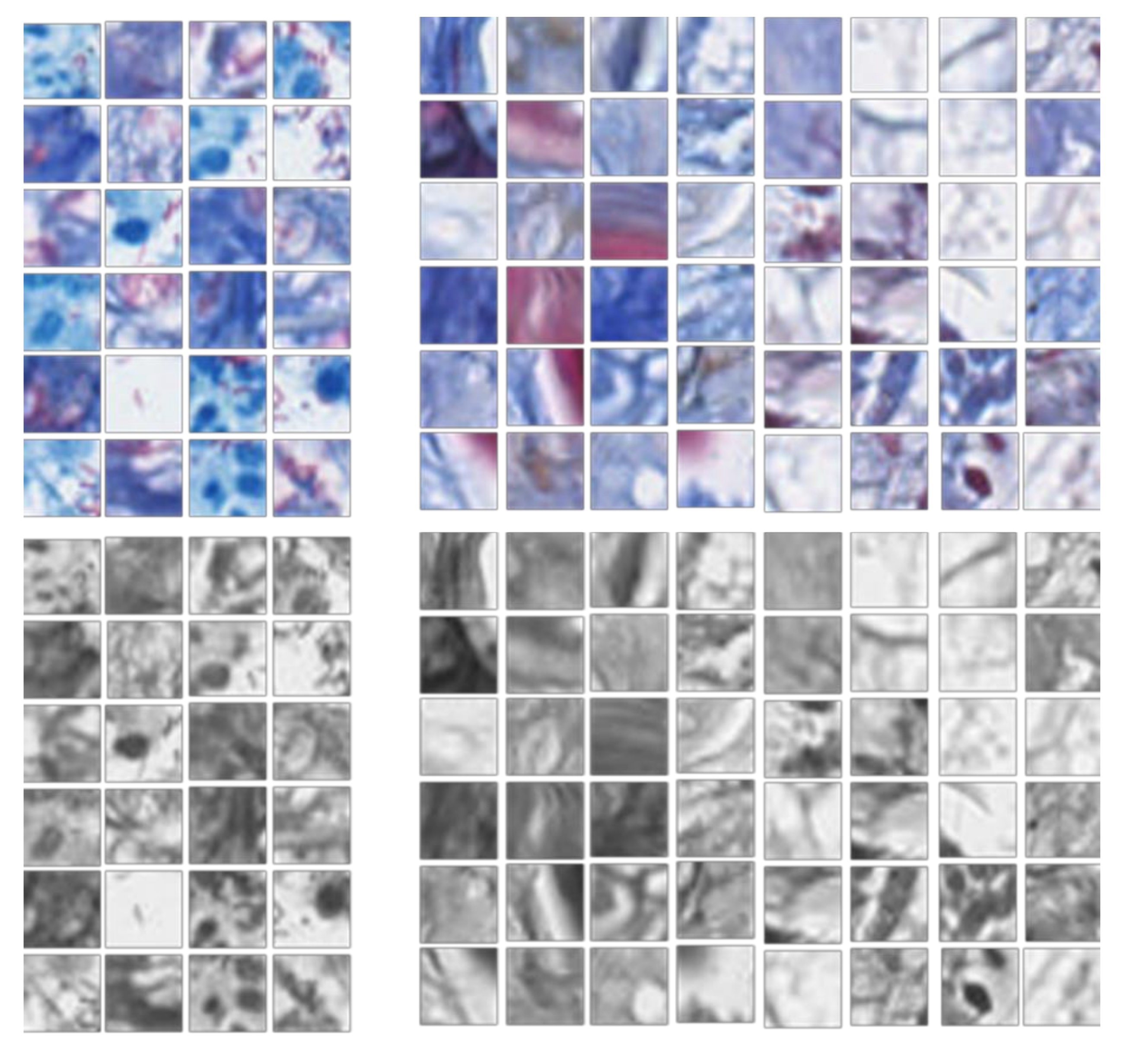 Applsci 10 04059 g004