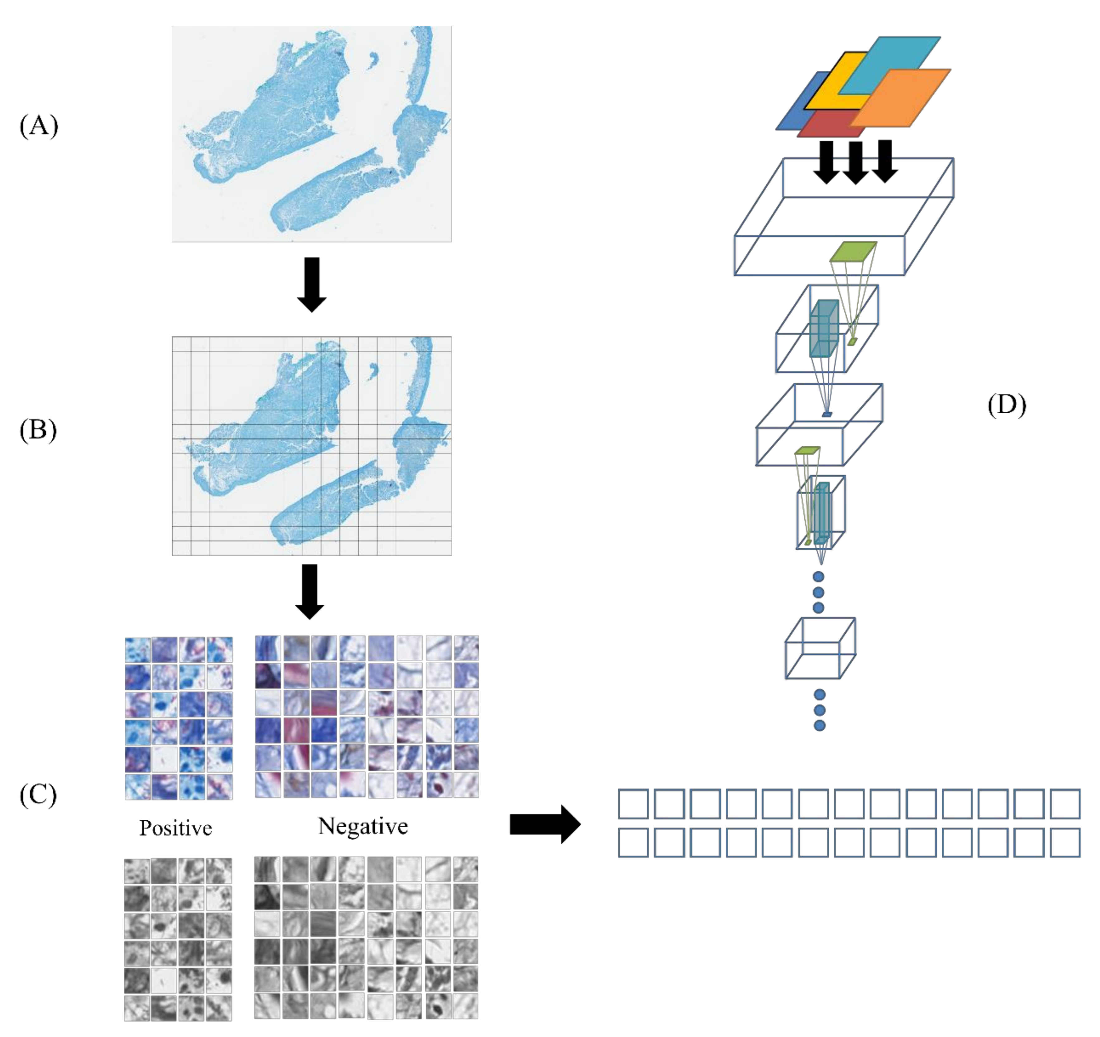 Applsci 10 04059 g005