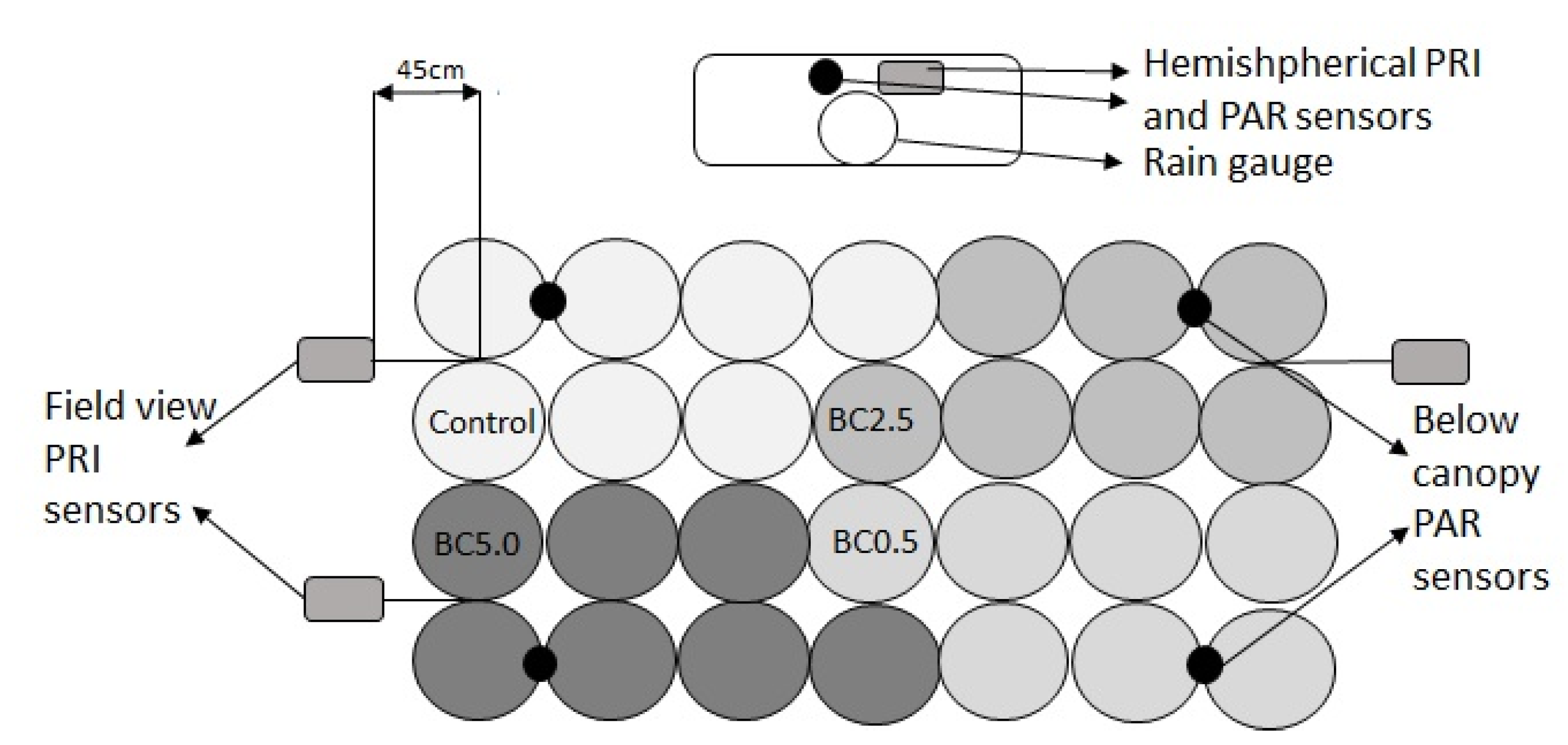 Applsci 10 04111 g001