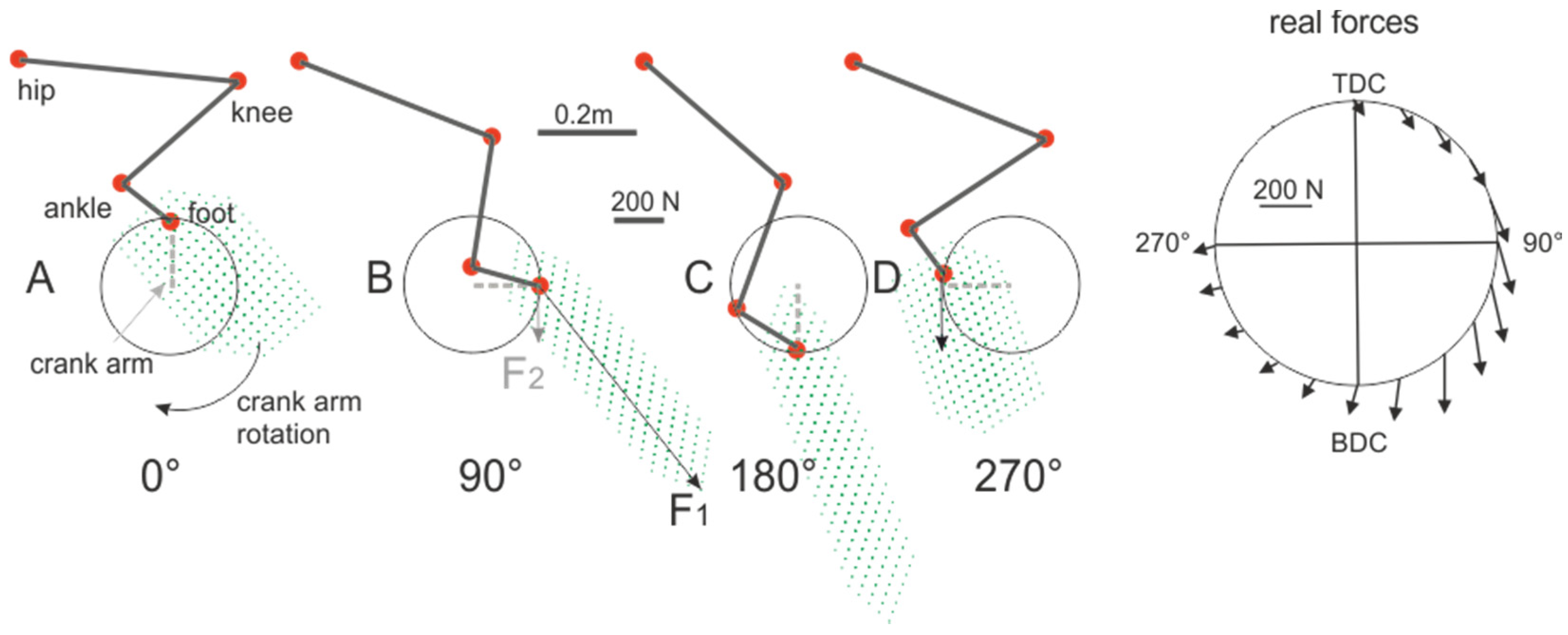 Applsci 10 04112 g001