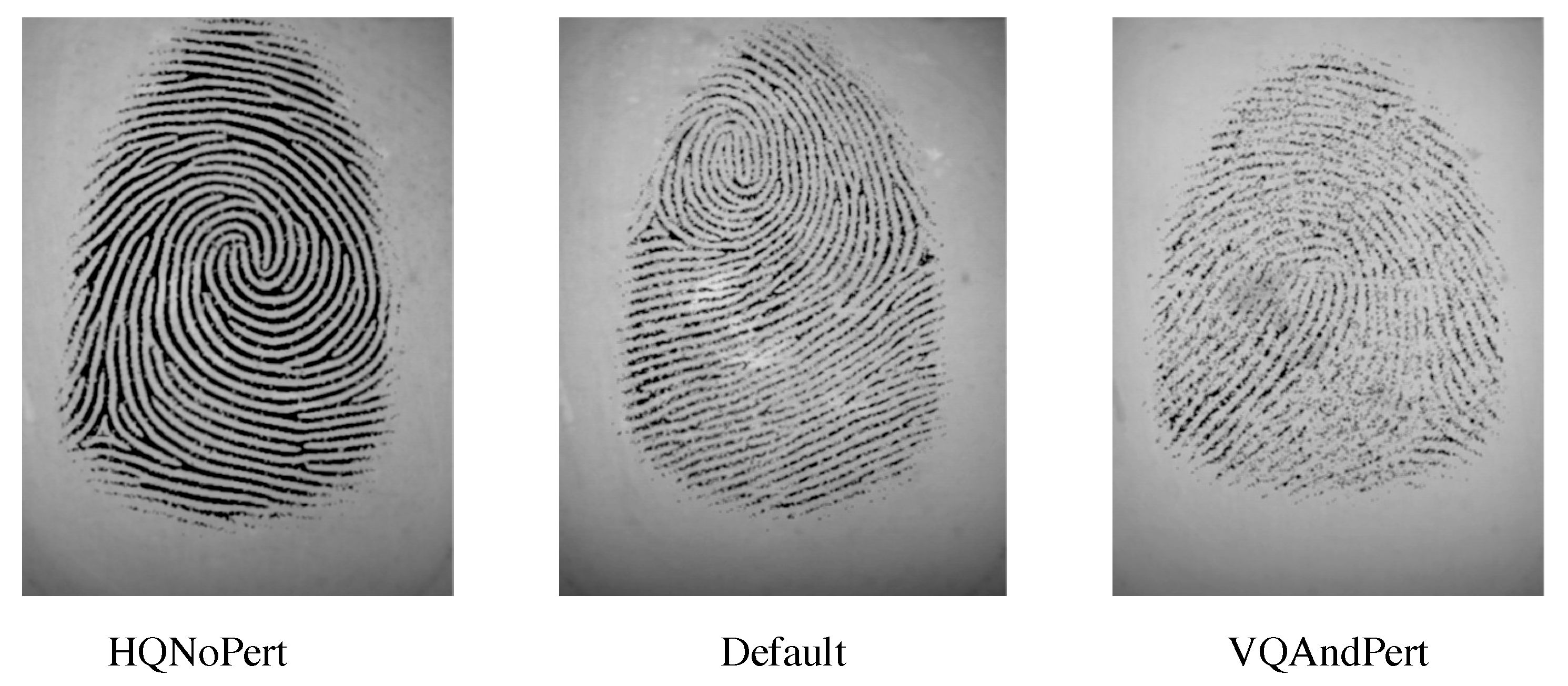 Applsci 10 04125 g003