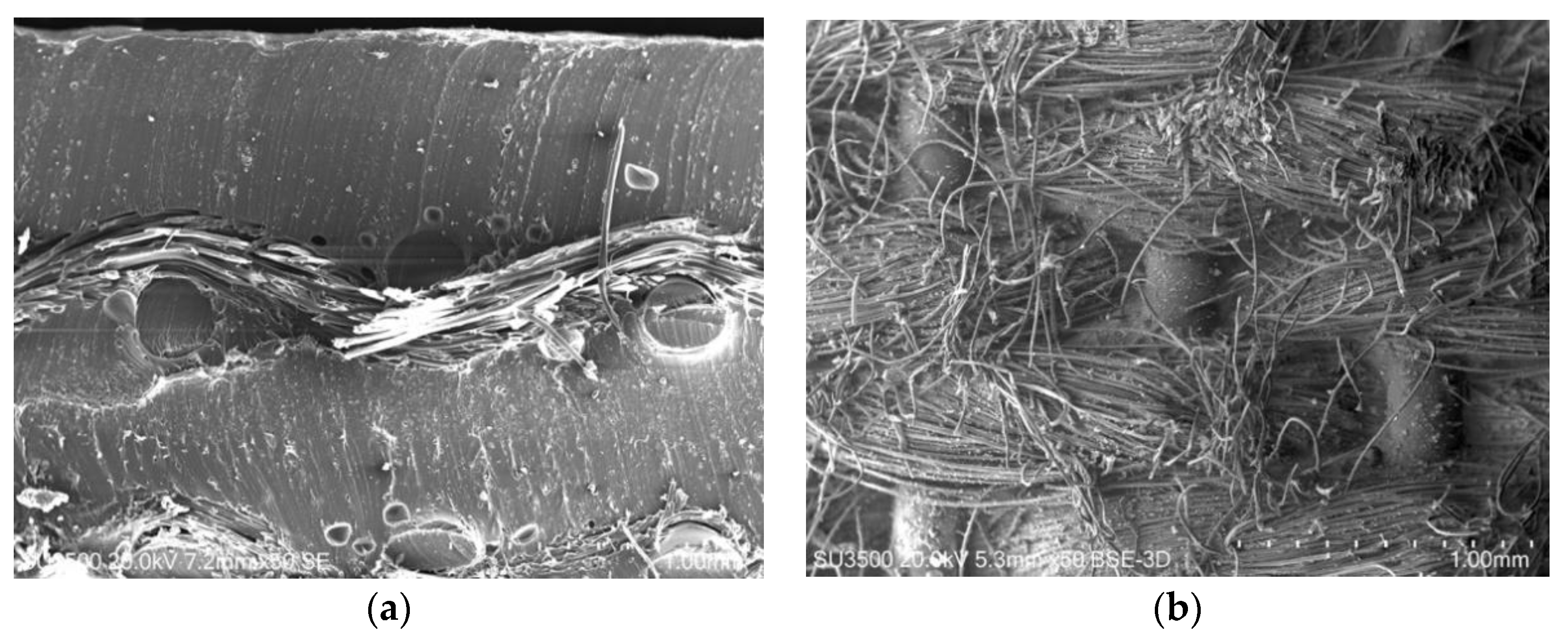Applsci 10 04201 g010 Applsci 10 04201 g010