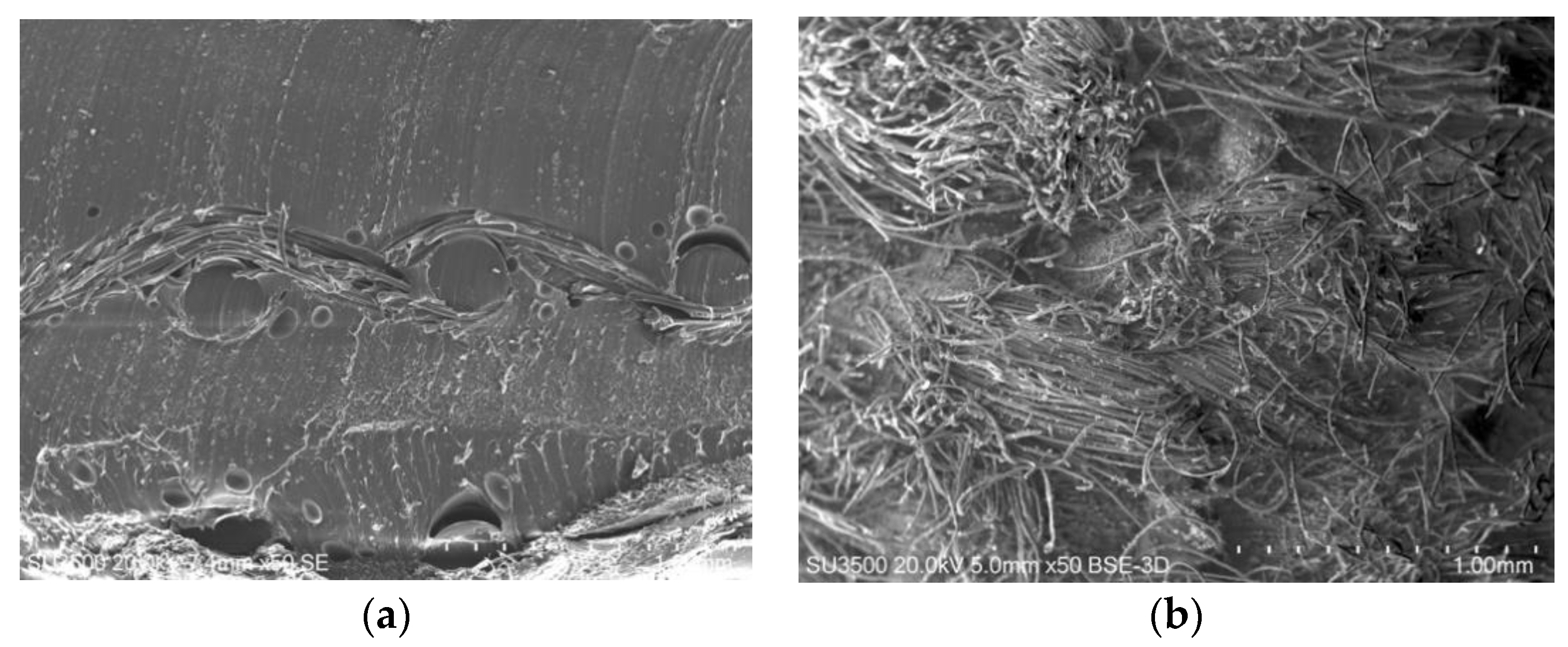 Applsci 10 04201 g011 Applsci 10 04201 g011