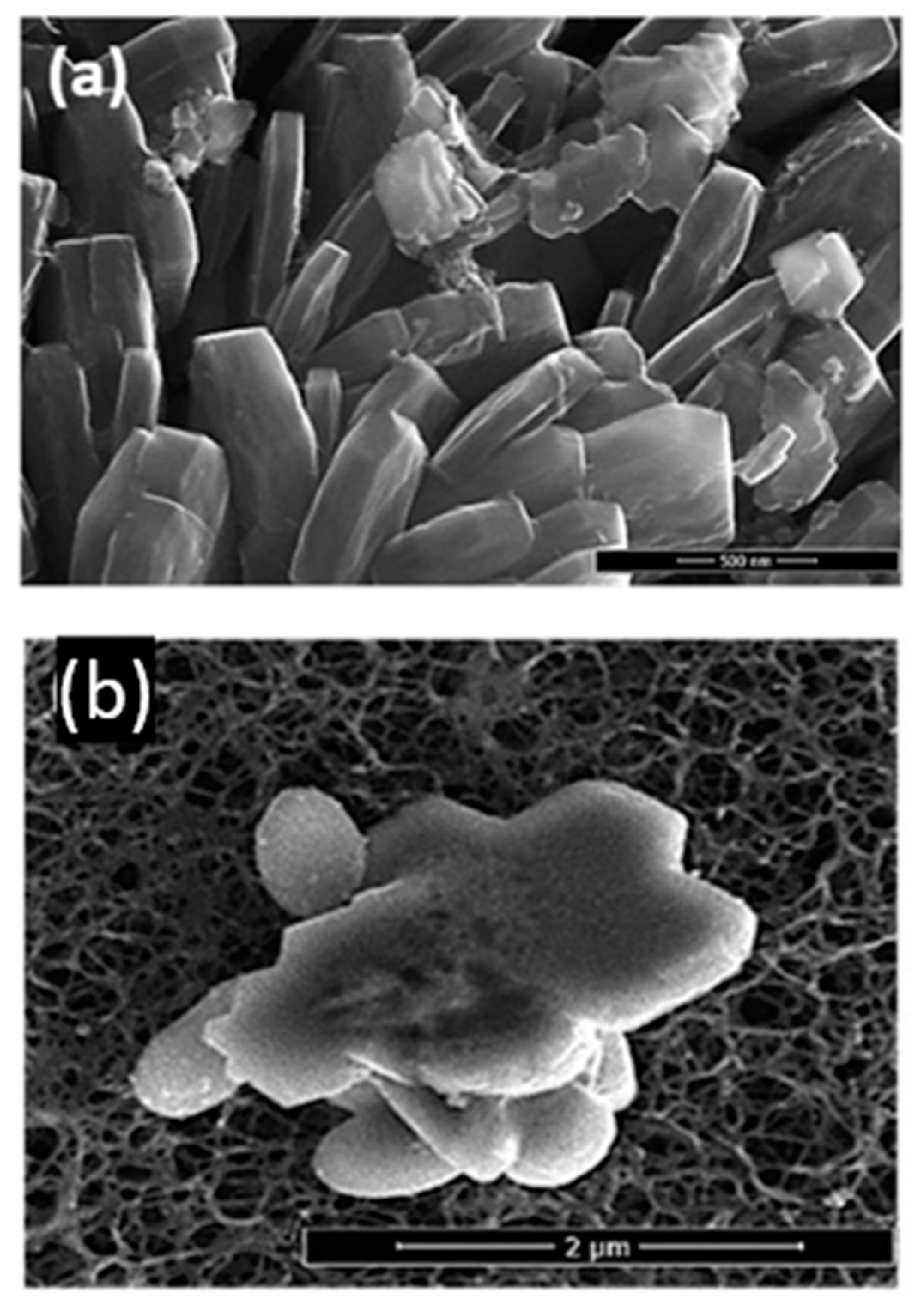 Applsci 10 04210 g002