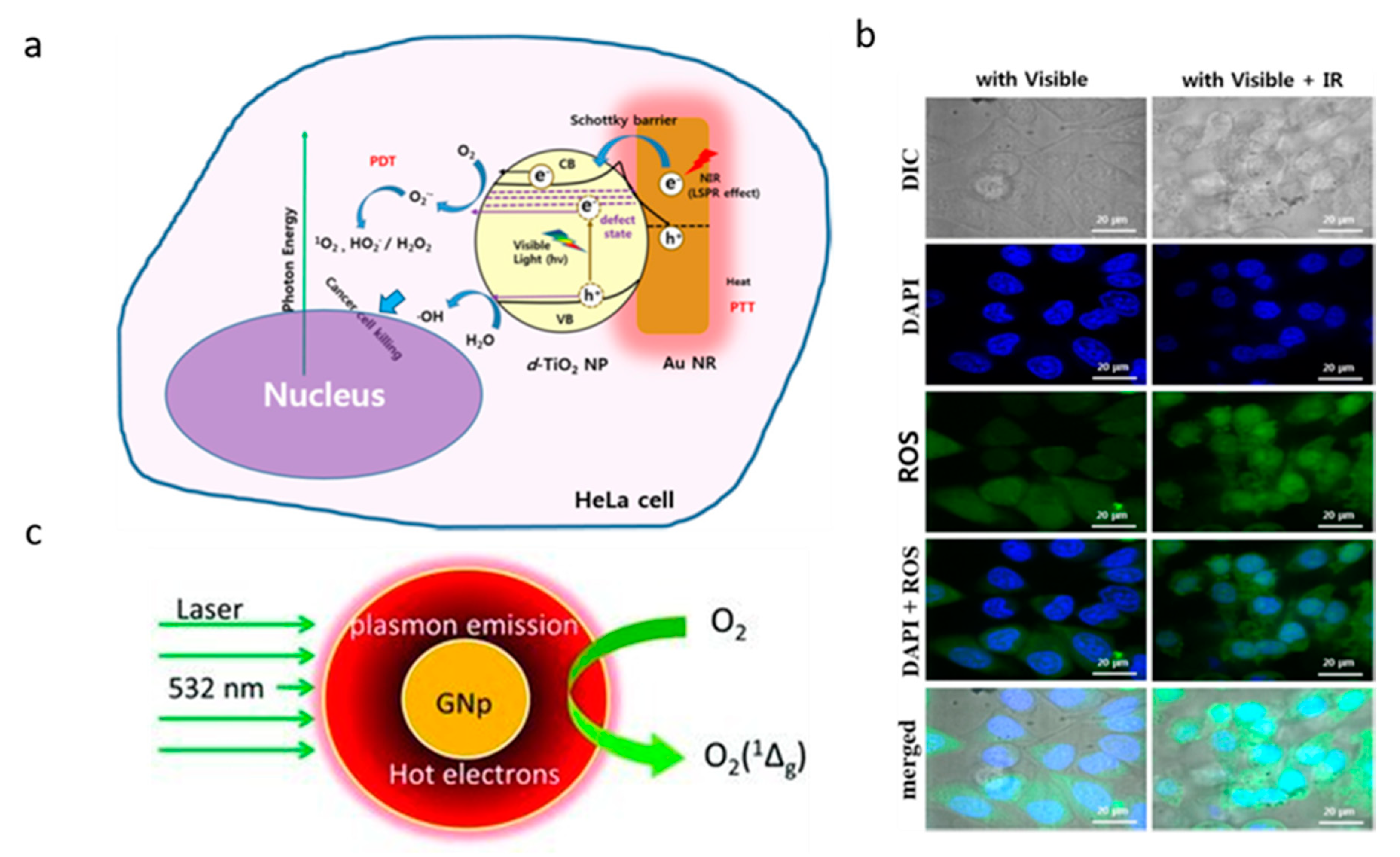 Applsci 10 04210 g004