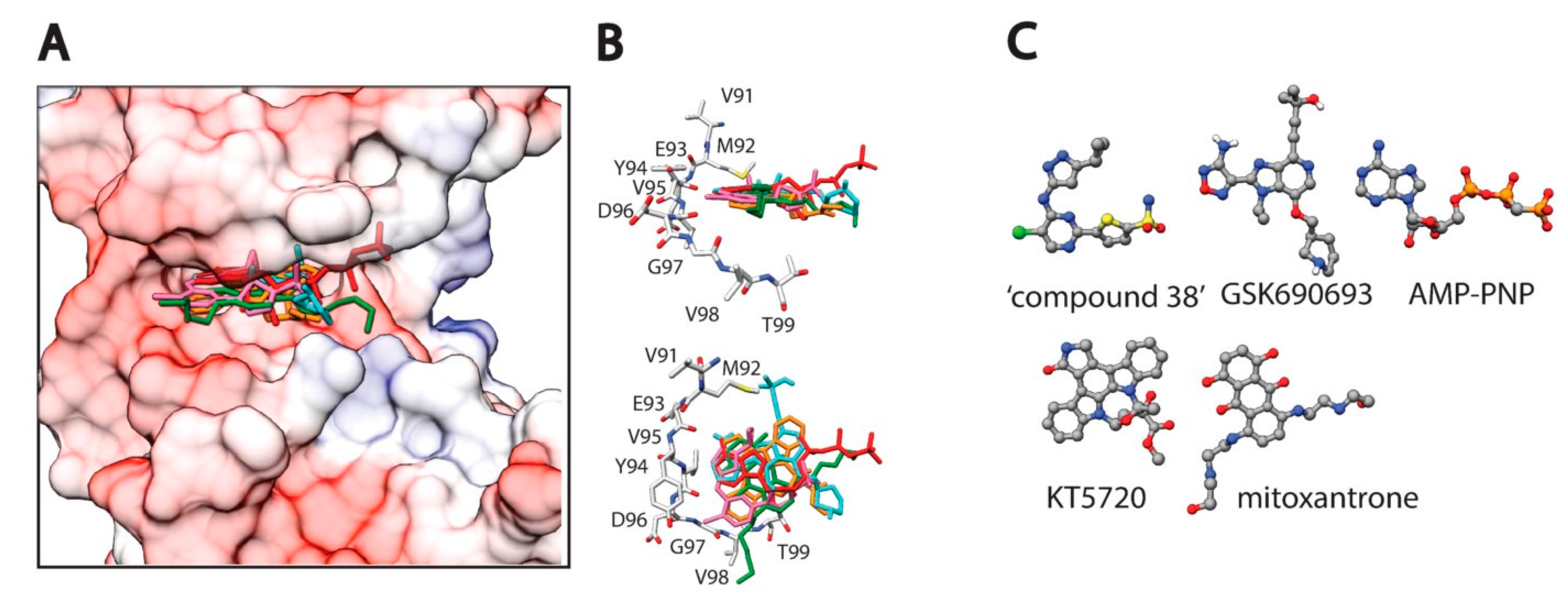 Applsci 10 04248 g001 Applsci 10 04248 g001