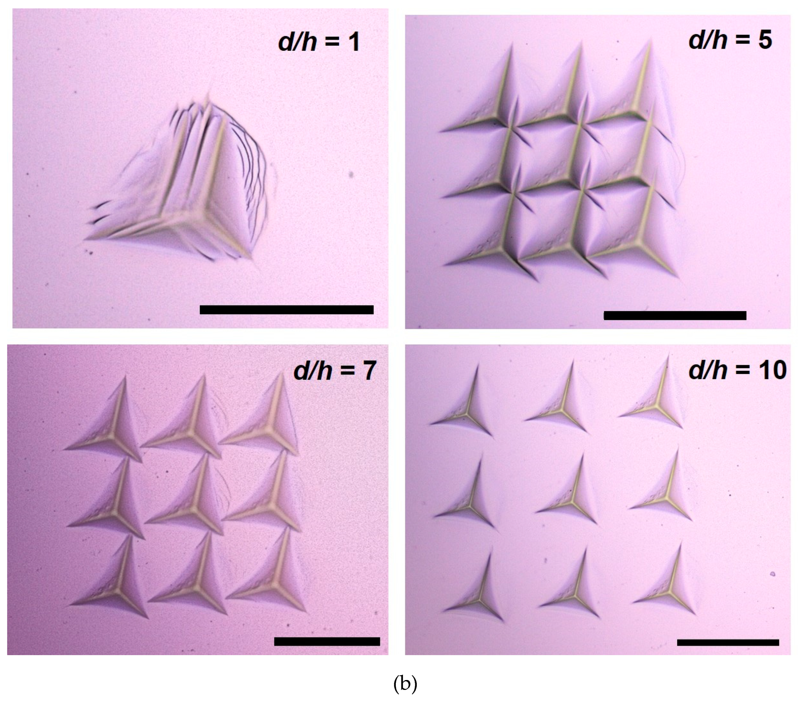 Applsci 10 04262 g006b