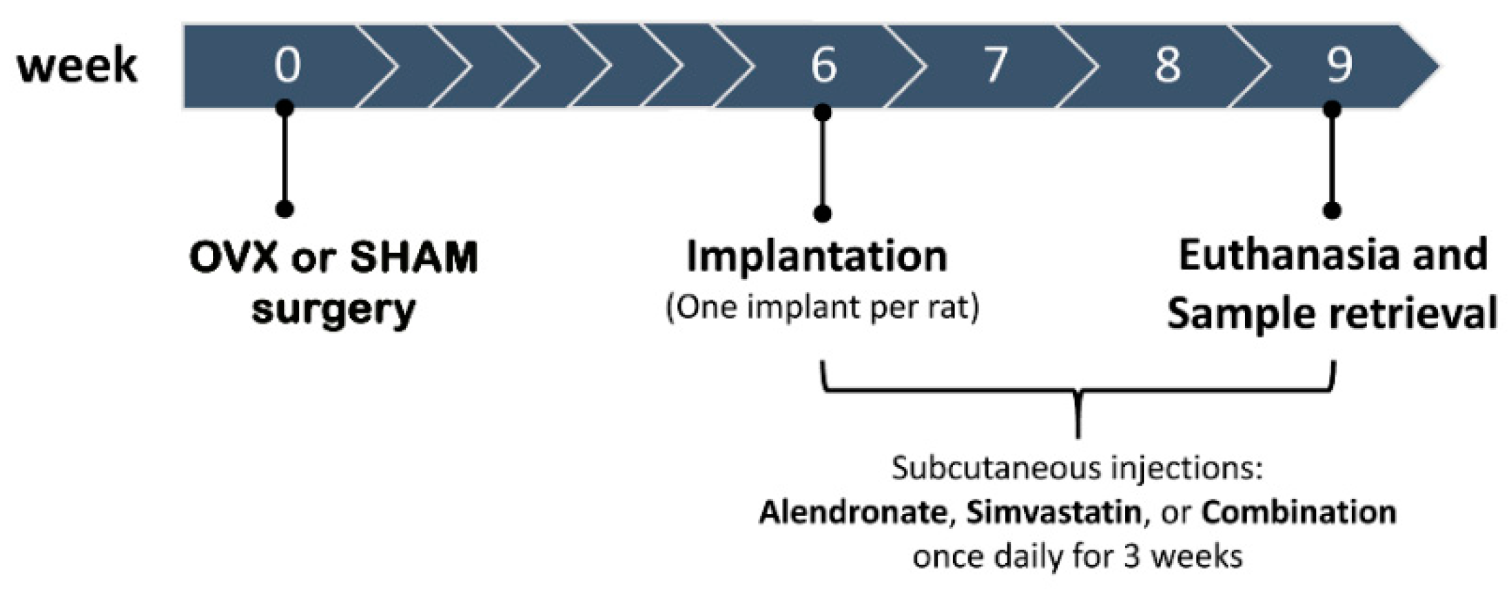 Applsci 10 04298 g001