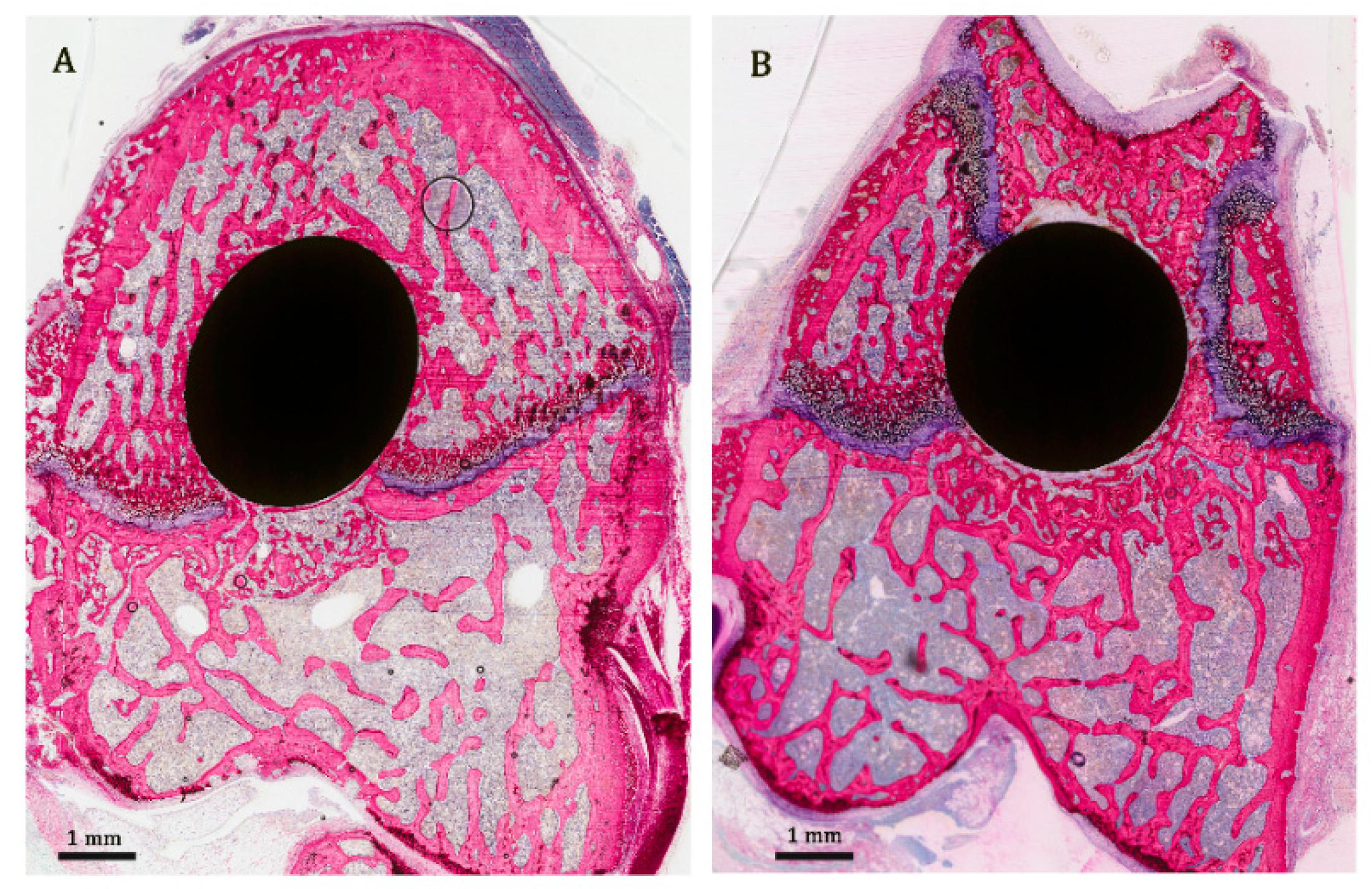Applsci 10 04298 g005