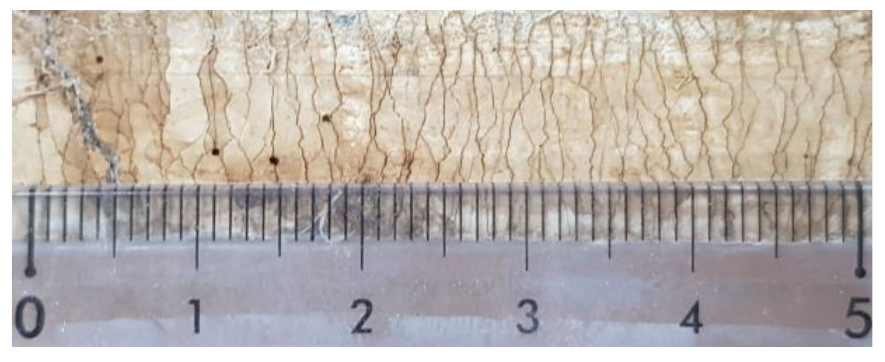 Applsci 10 04300 g005