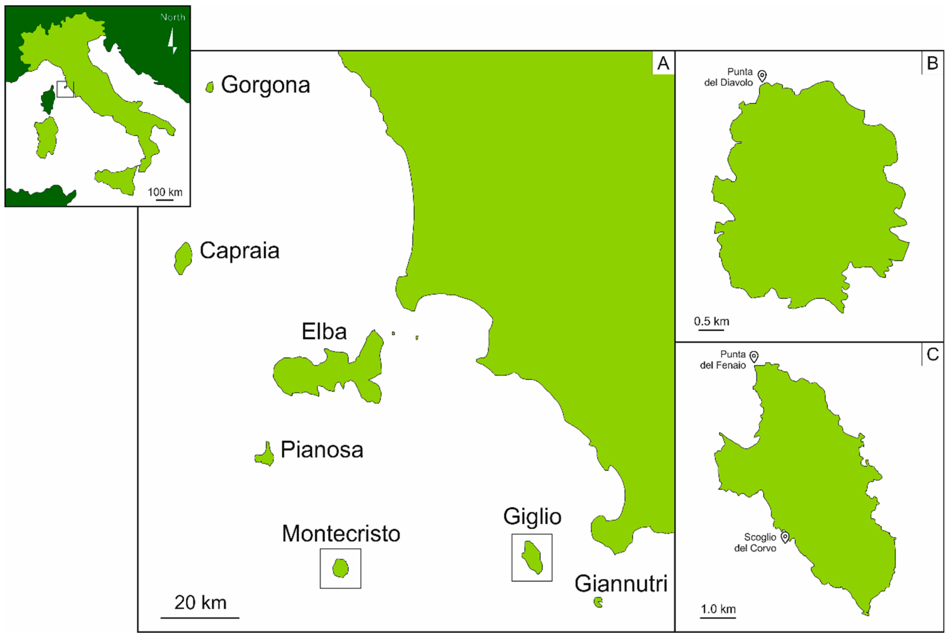 Applsci 10 04342 g001