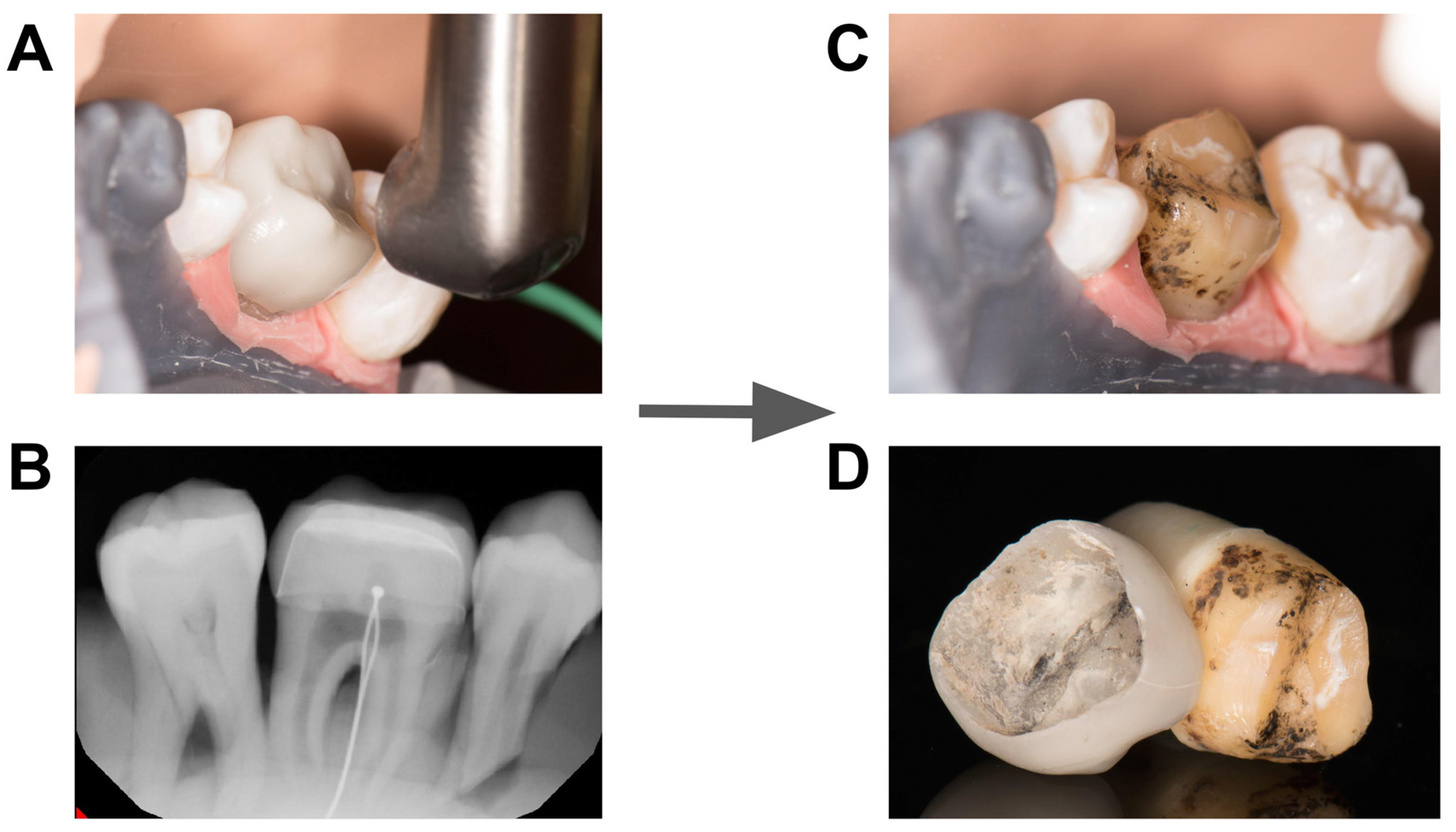 Applsci 10 04357 g002