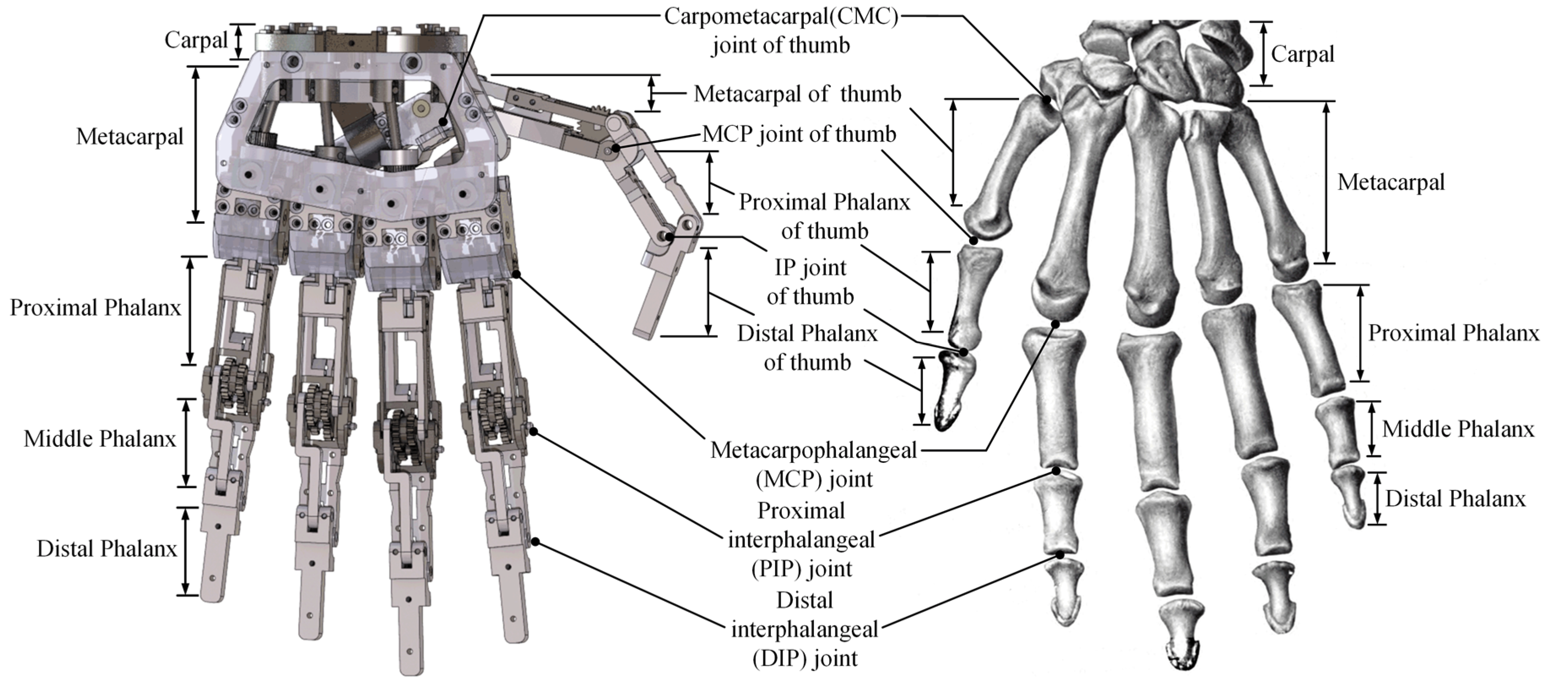 Applsci 10 04384 g001