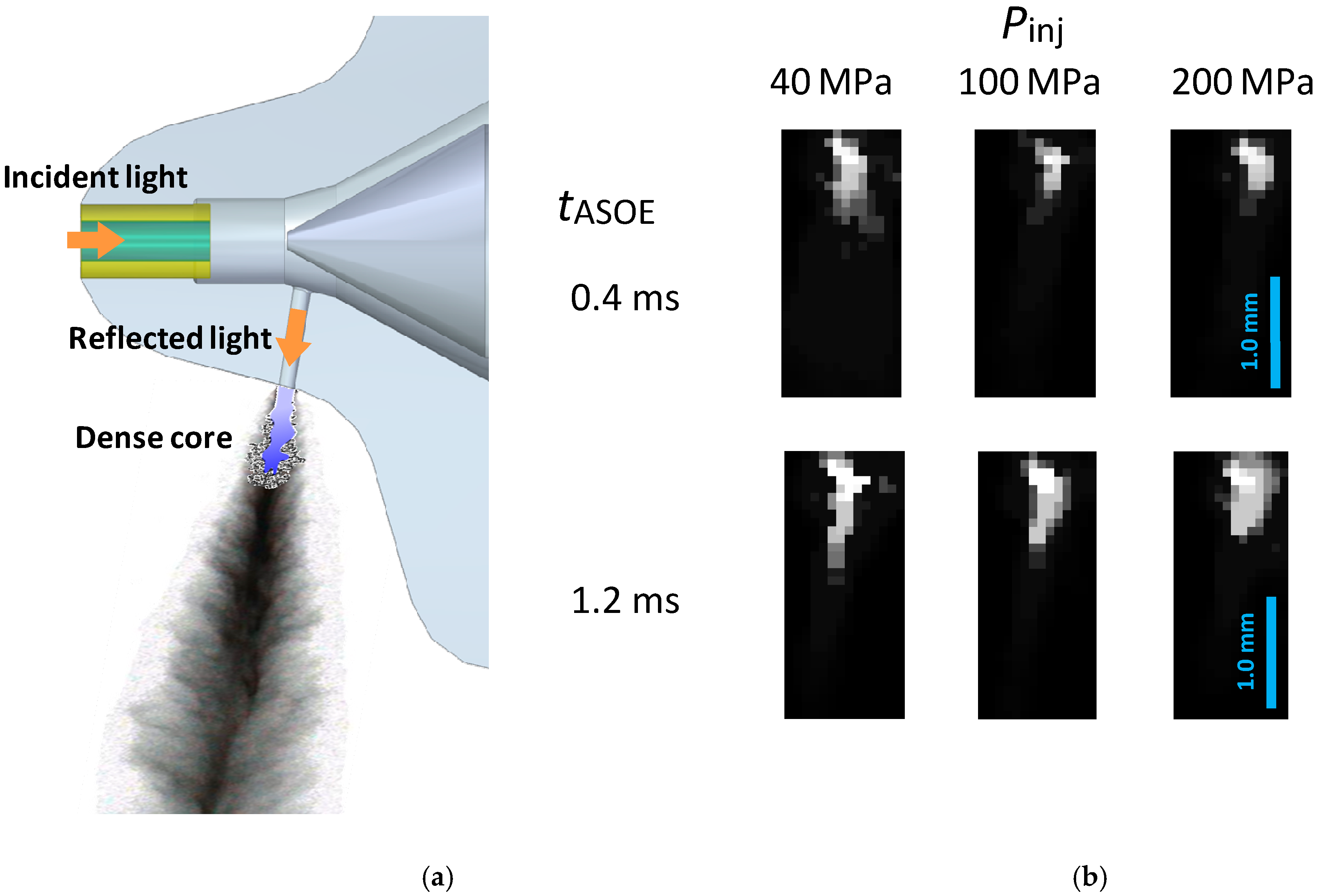 Applsci 10 04410 g011