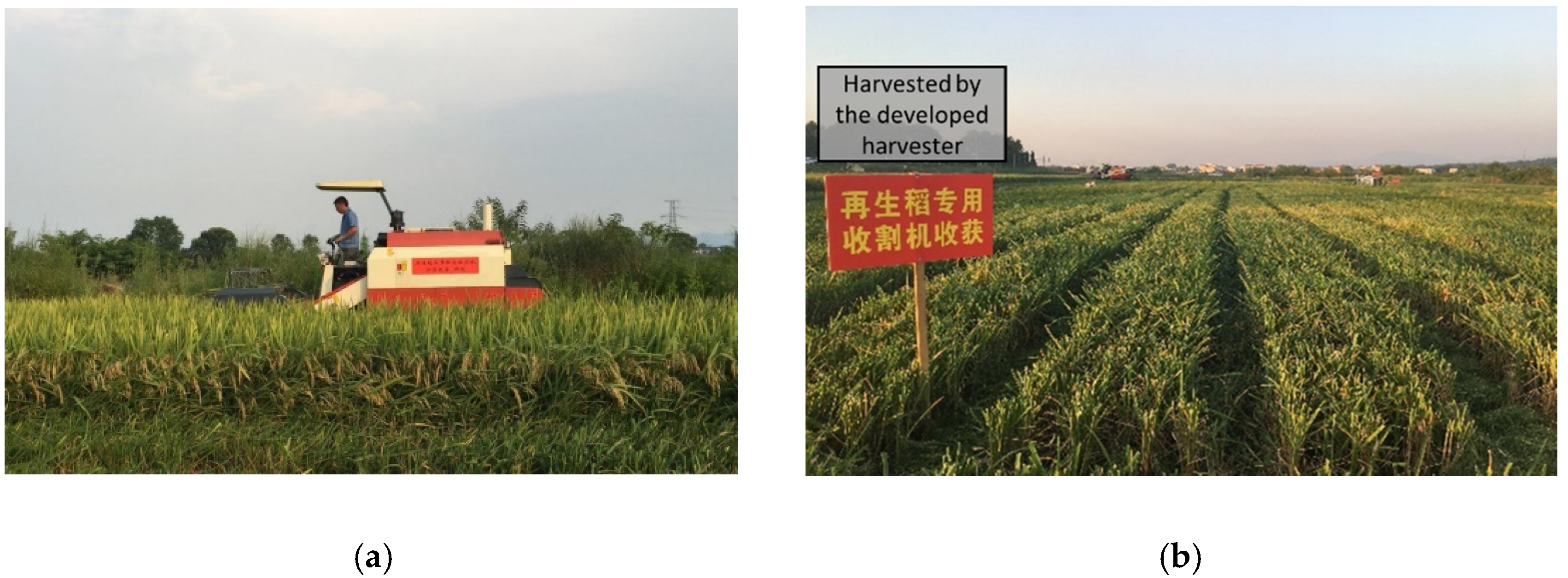 Applsci 10 04432 g009