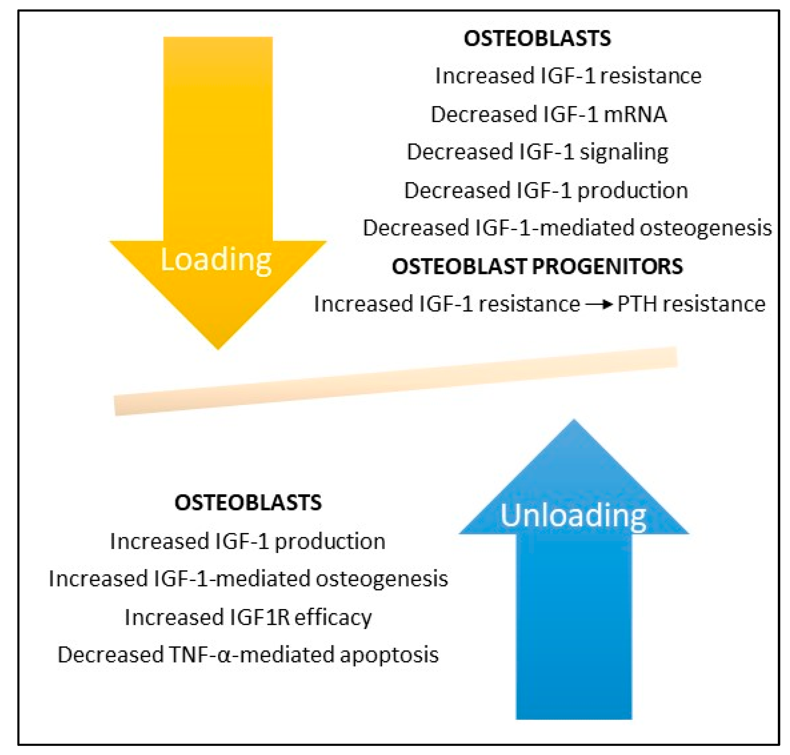 Applsci 10 04433 g004