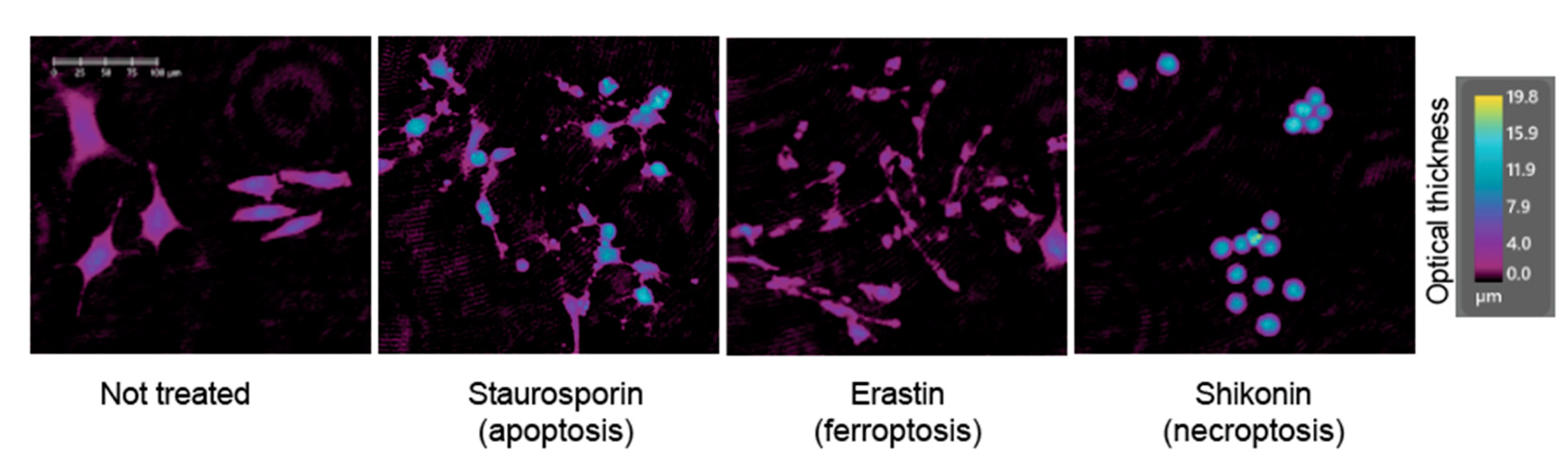 Applsci 10 04439 g003