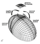 Applsci 10 04467 i002