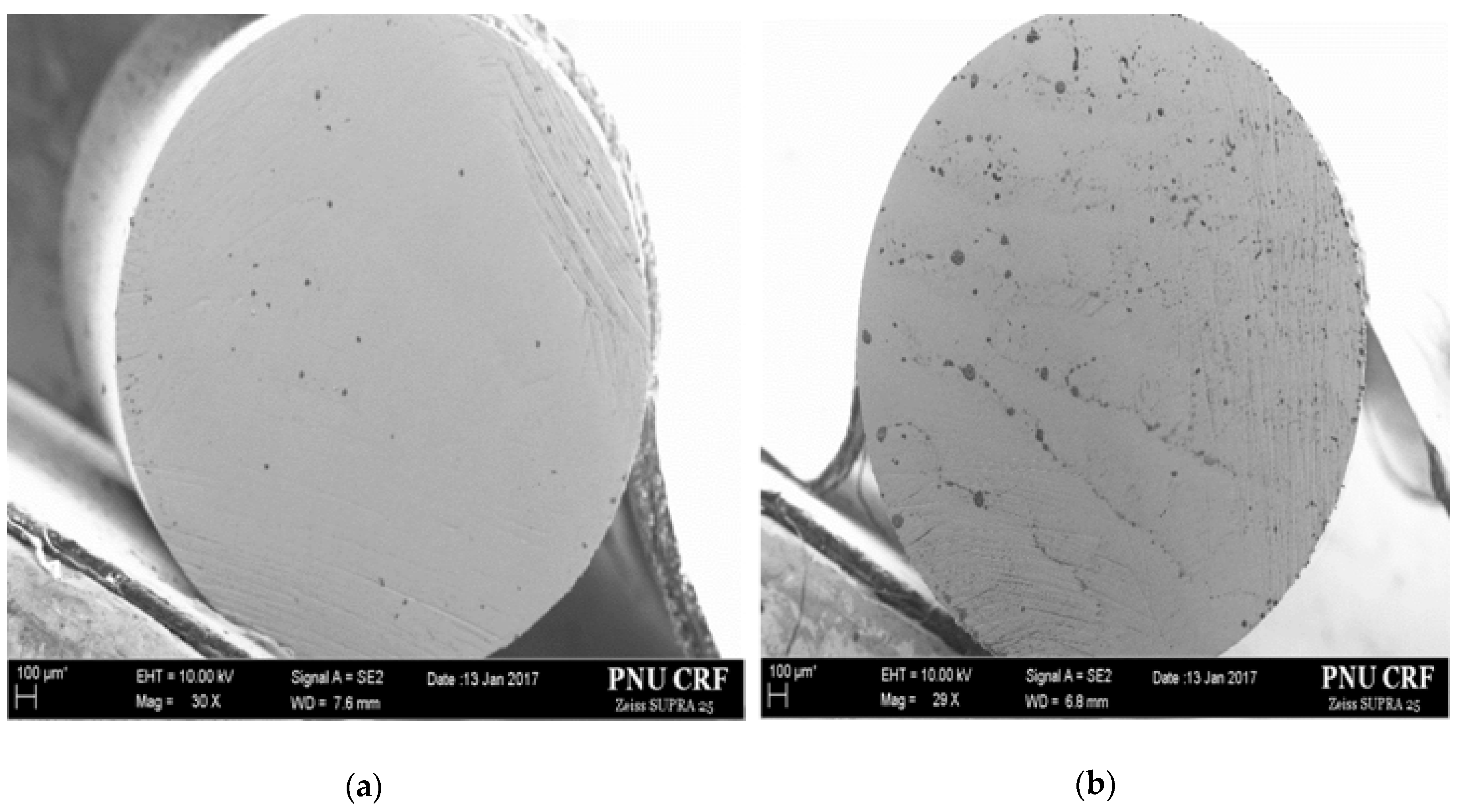 Applsci 10 04479 g017 Applsci 10 04479 g017