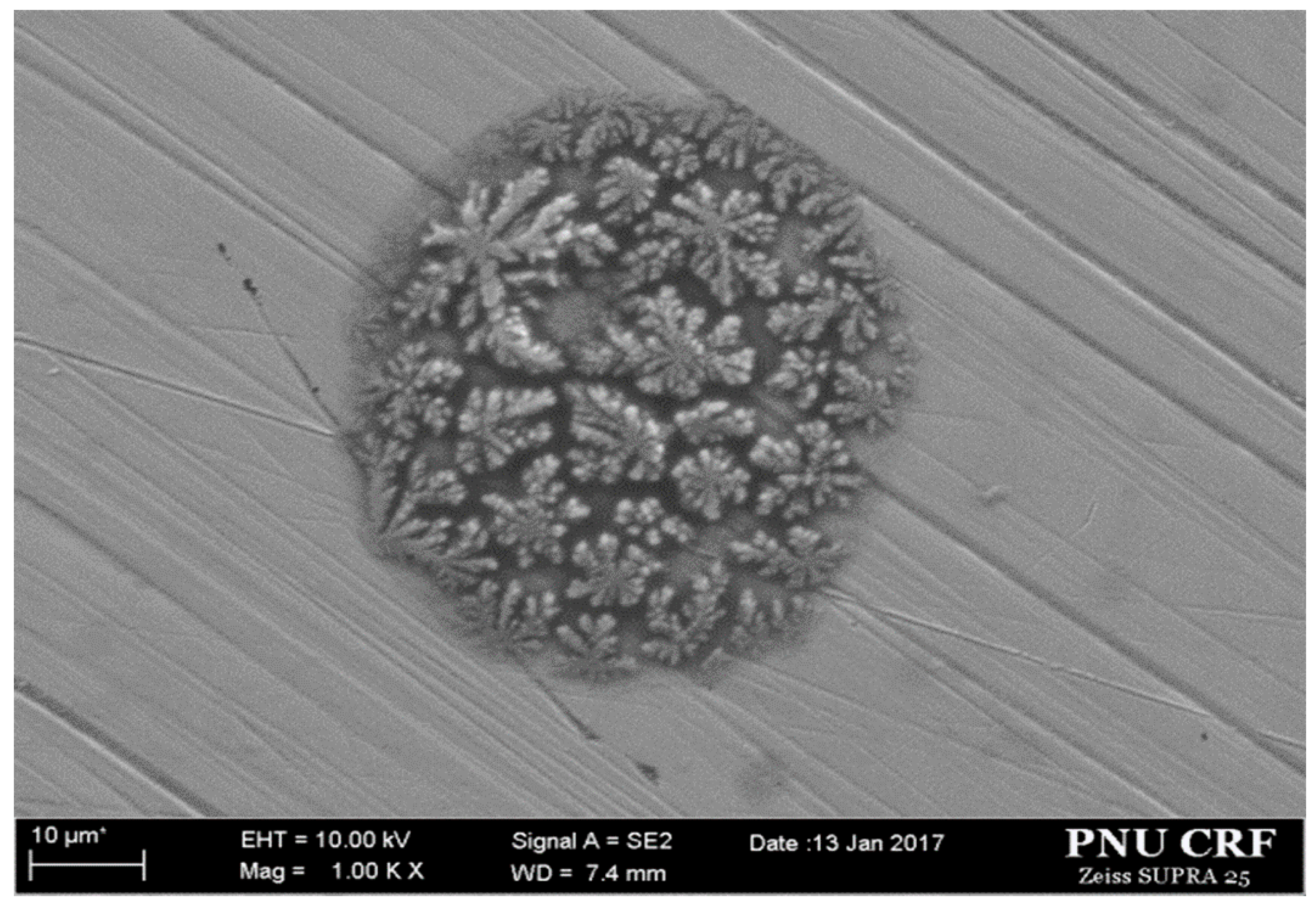 Applsci 10 04479 g018 Applsci 10 04479 g018