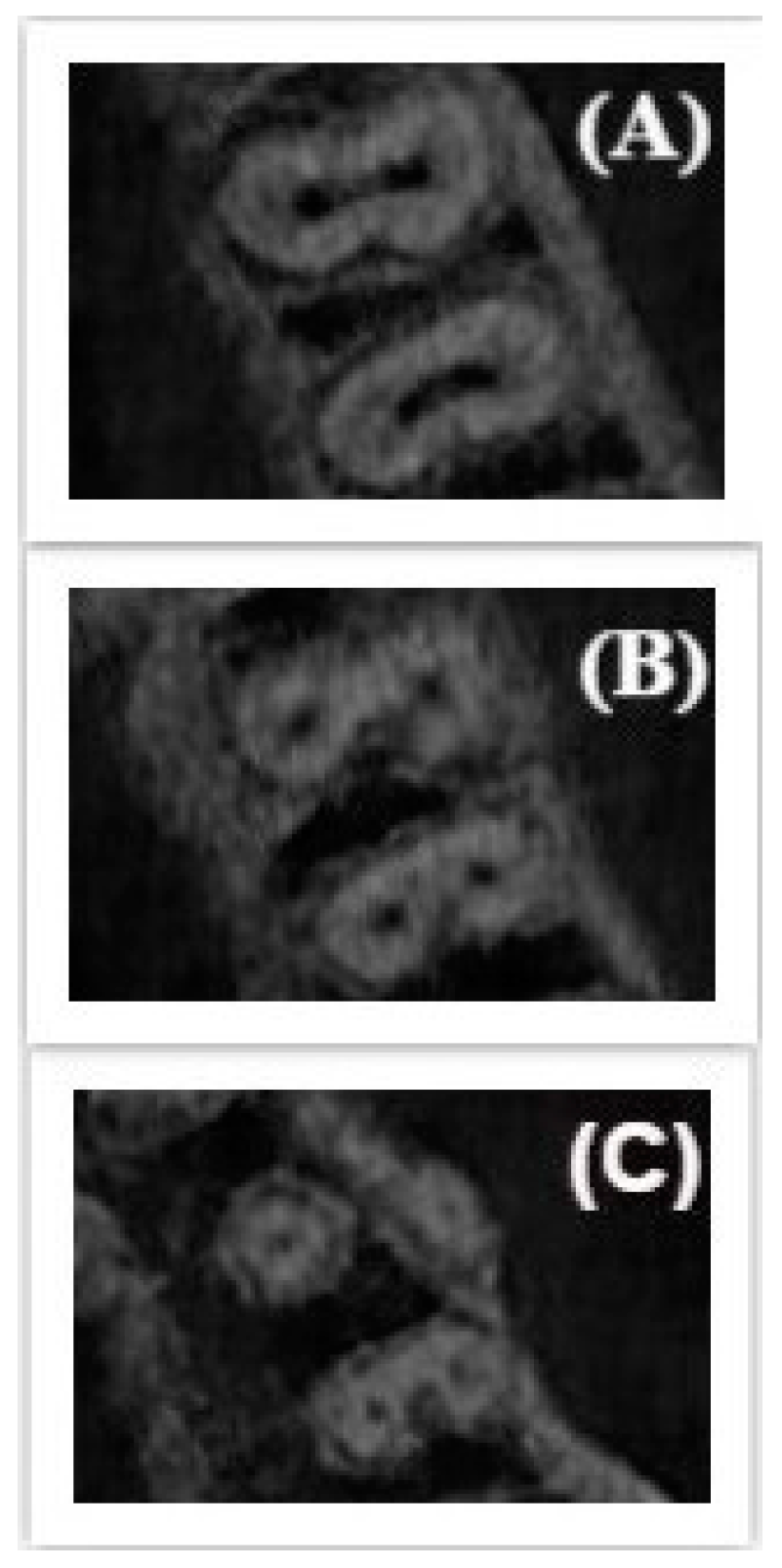 Applsci 10 04495 g003