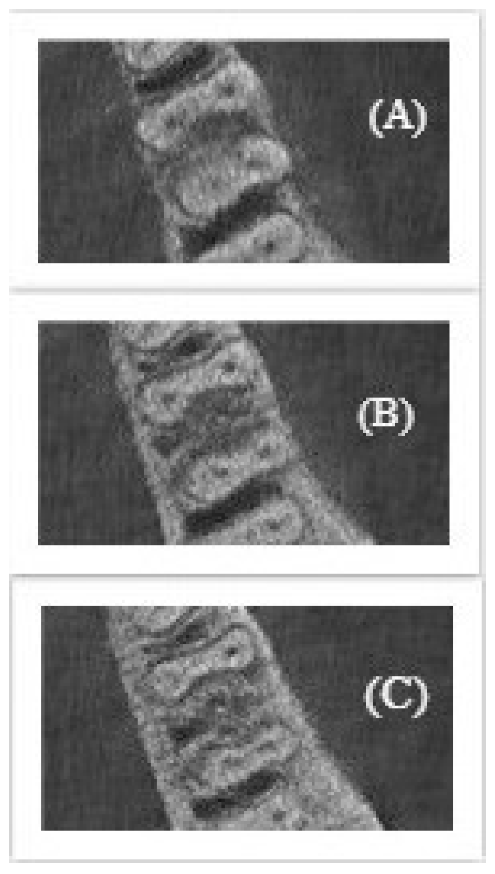 Applsci 10 04495 g005