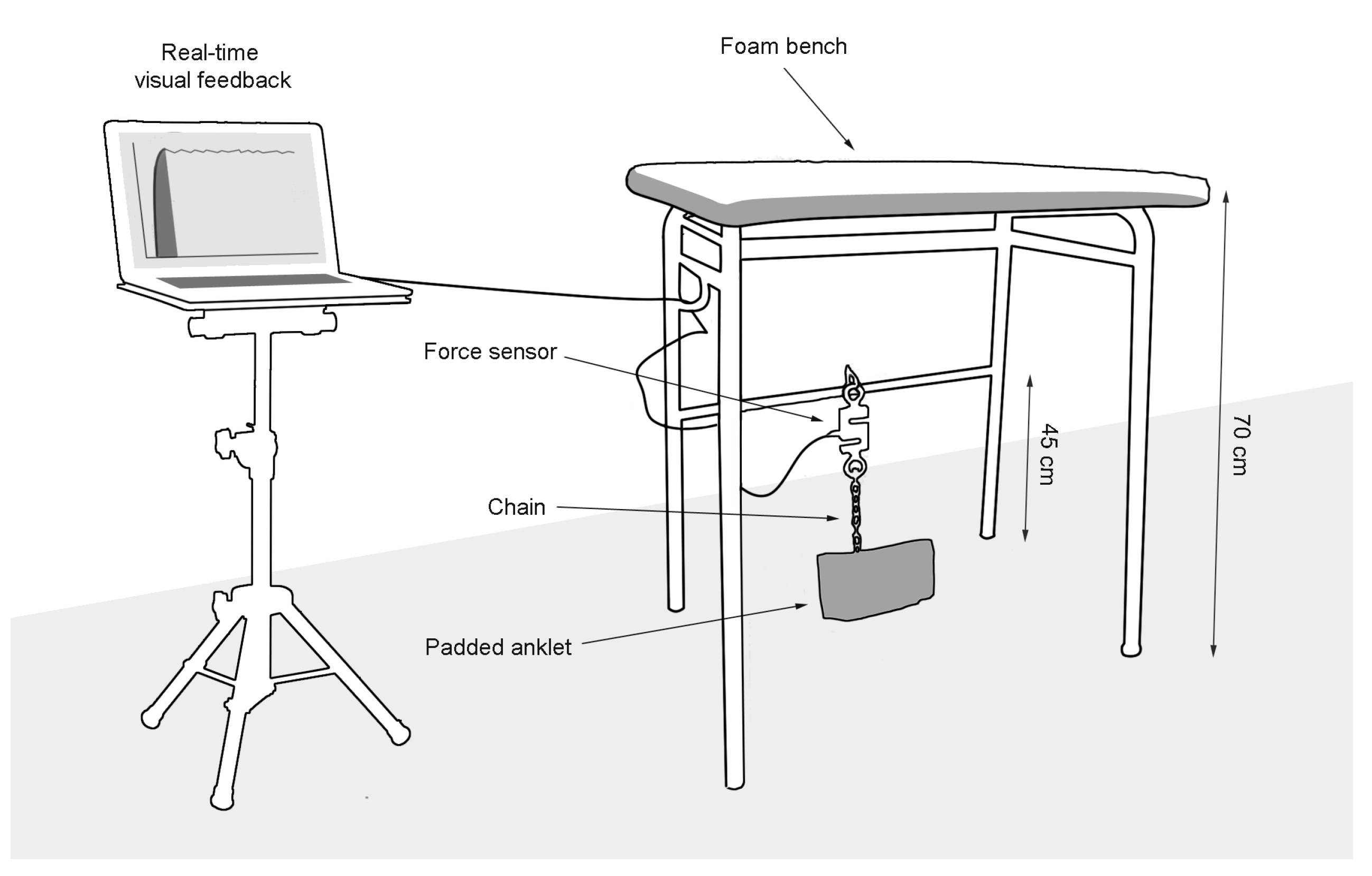 Applsci 10 04499 g001