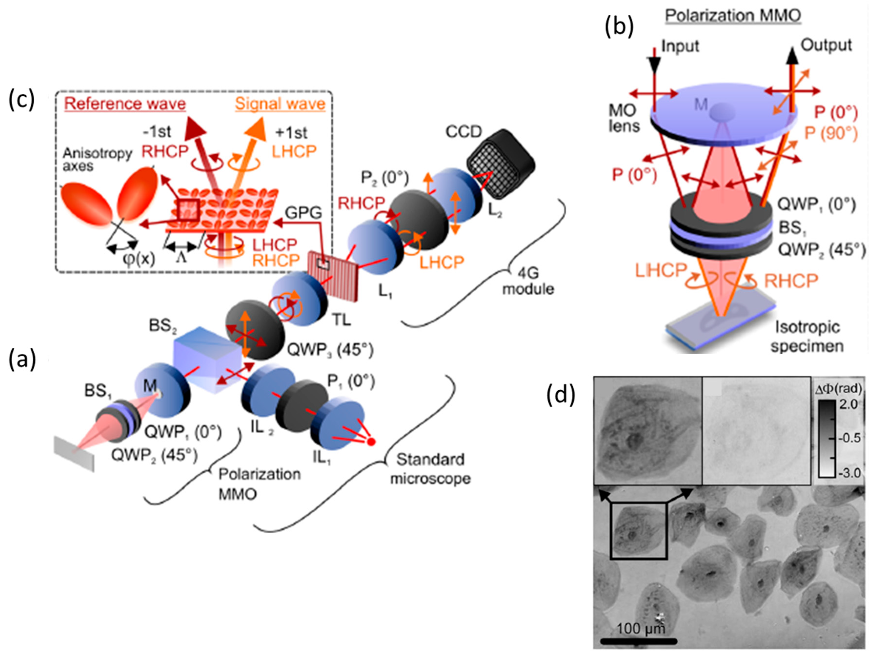 Applsci 10 04520 g009