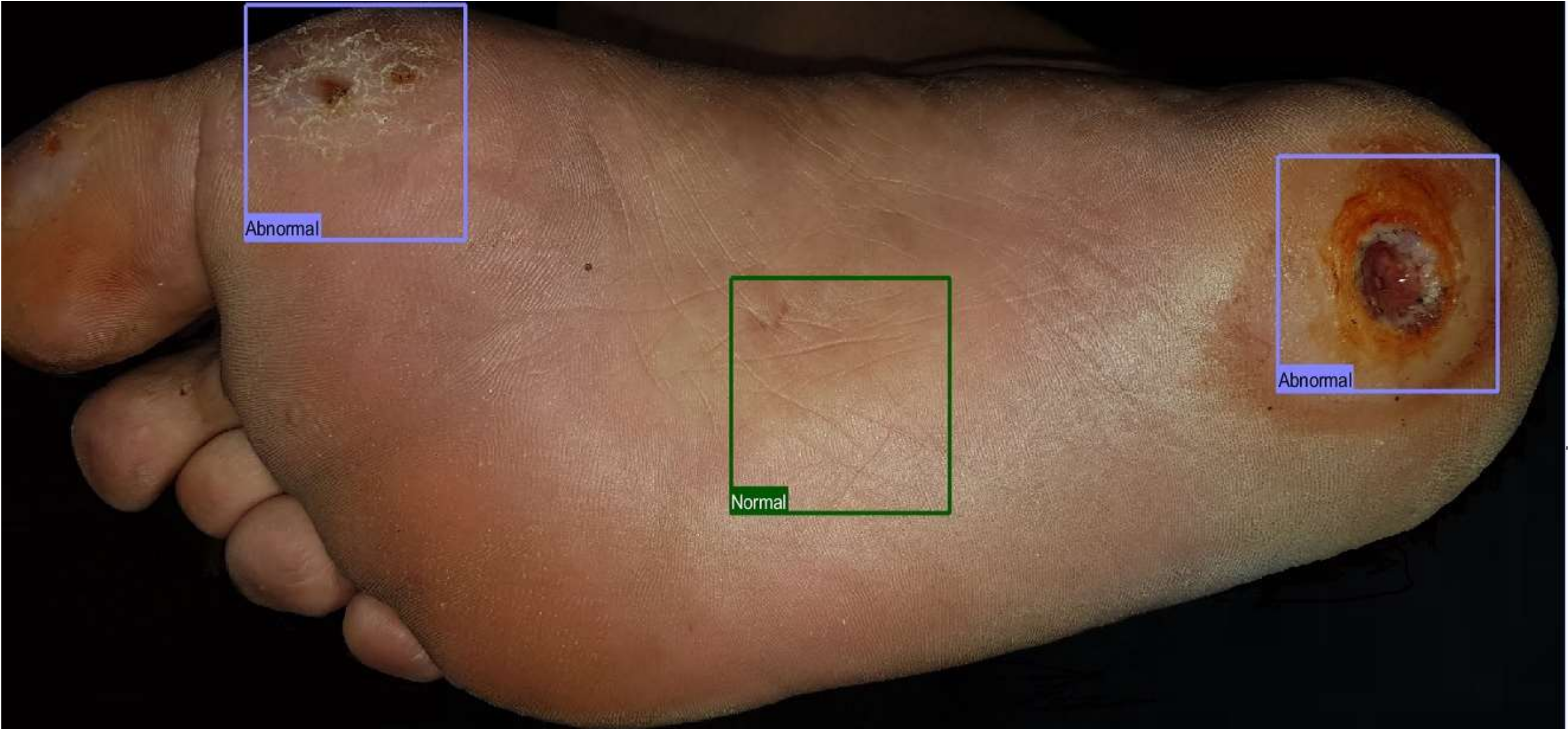 Applsci 10 04523 g001