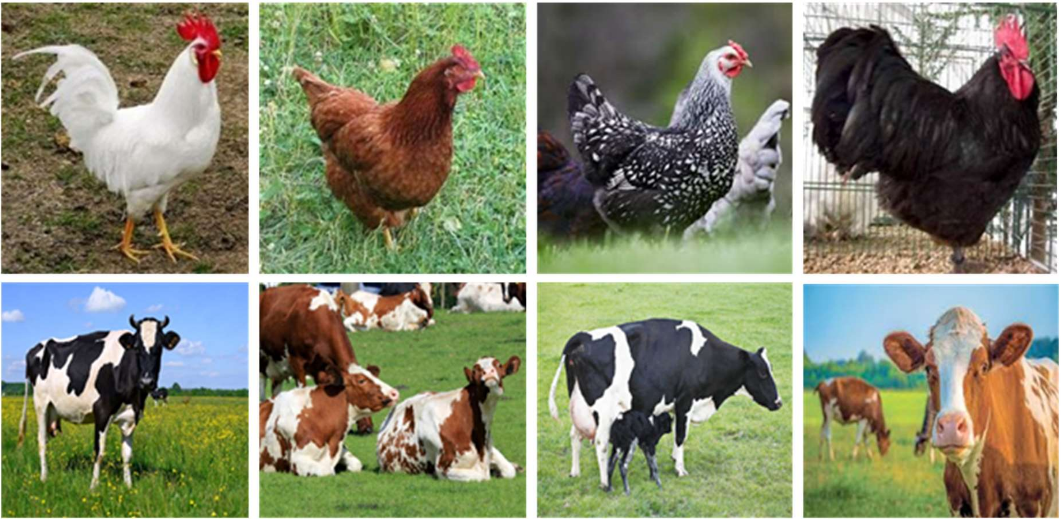 Applsci 10 04523 g002