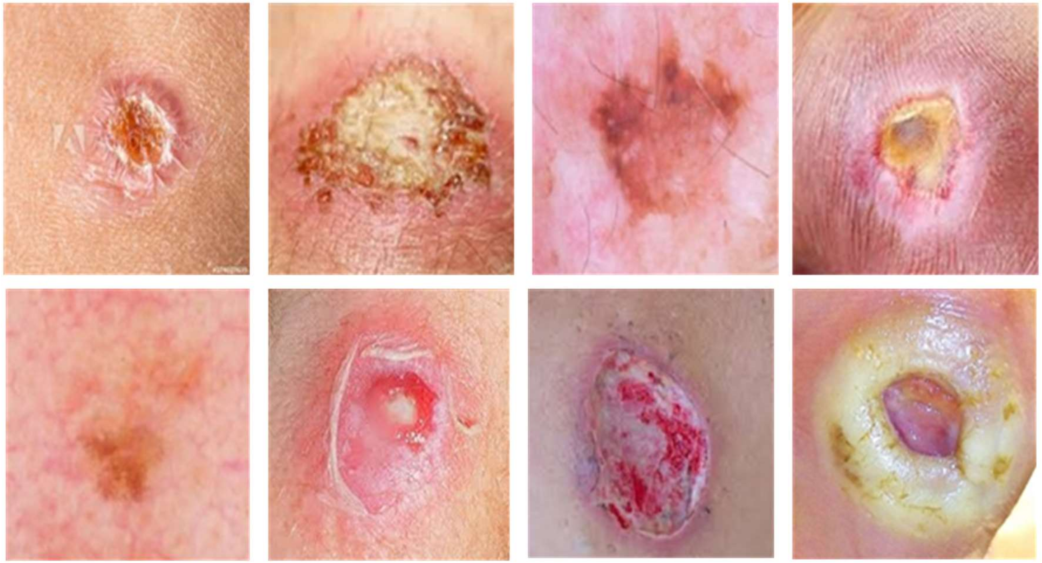 Applsci 10 04523 g003